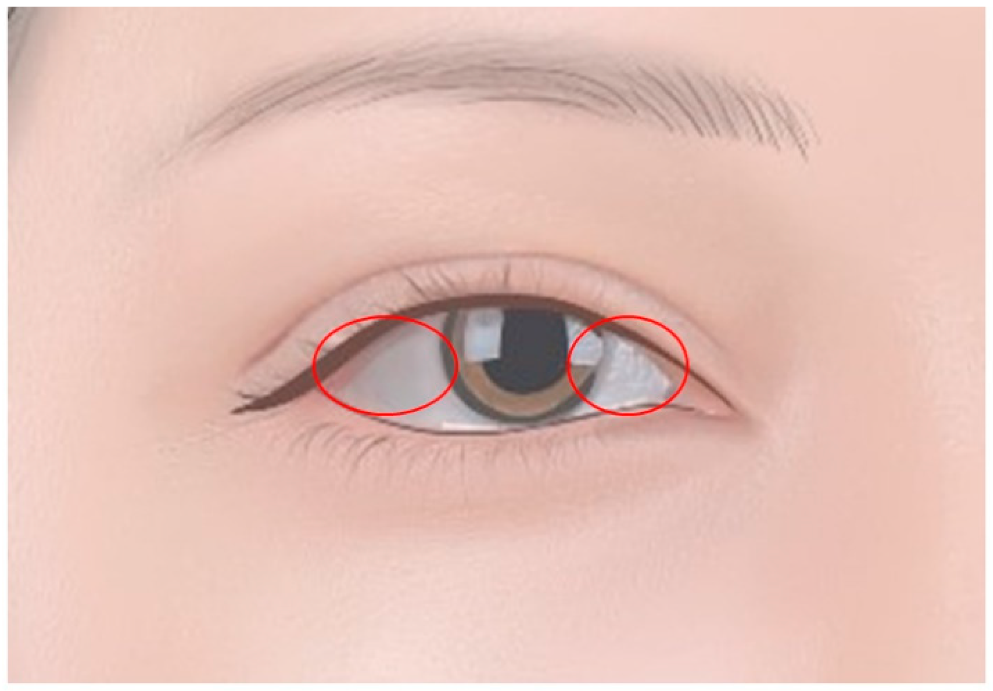 Diagnostics 14 02150 g001