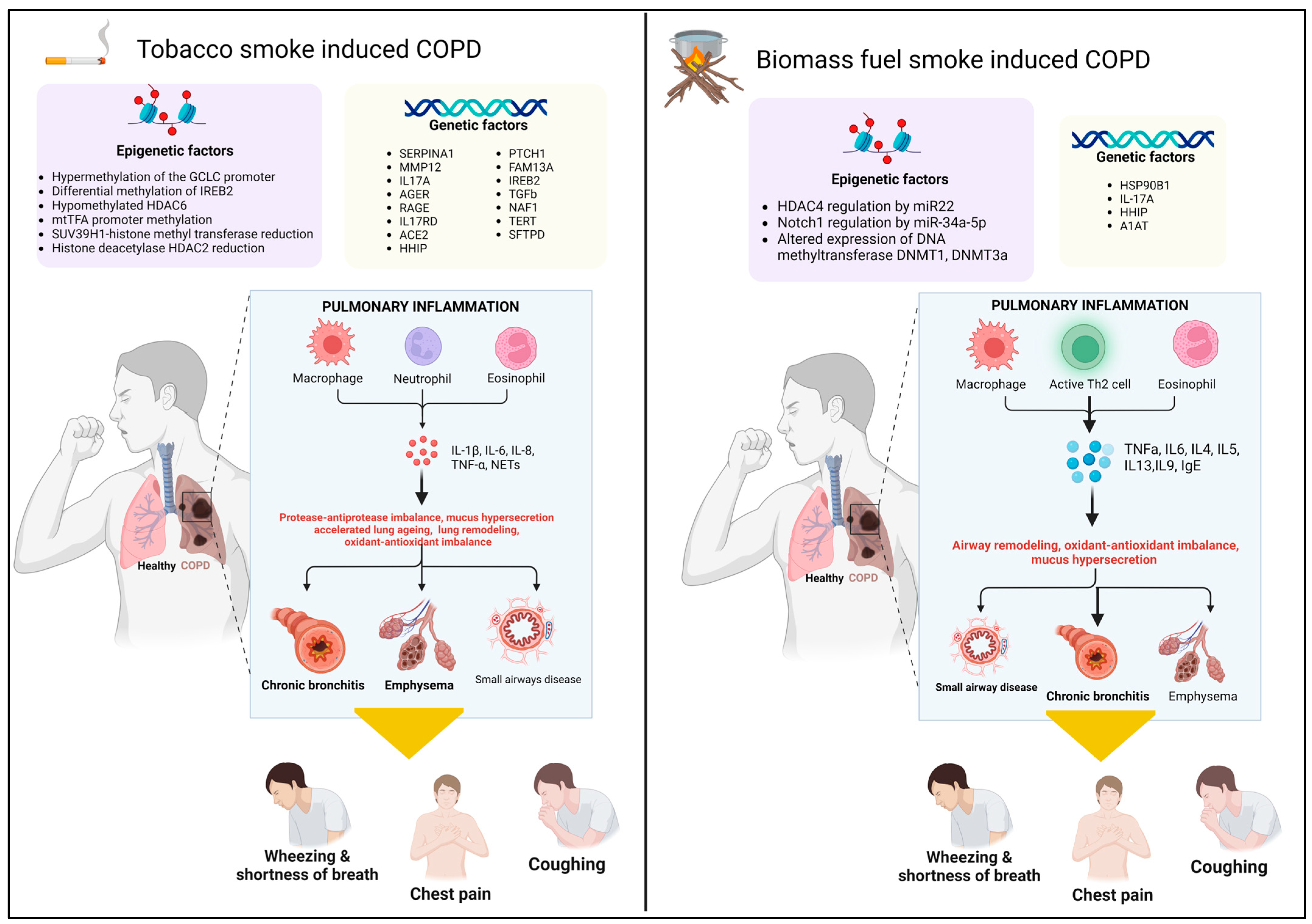 Diagnostics 14 02154 g001