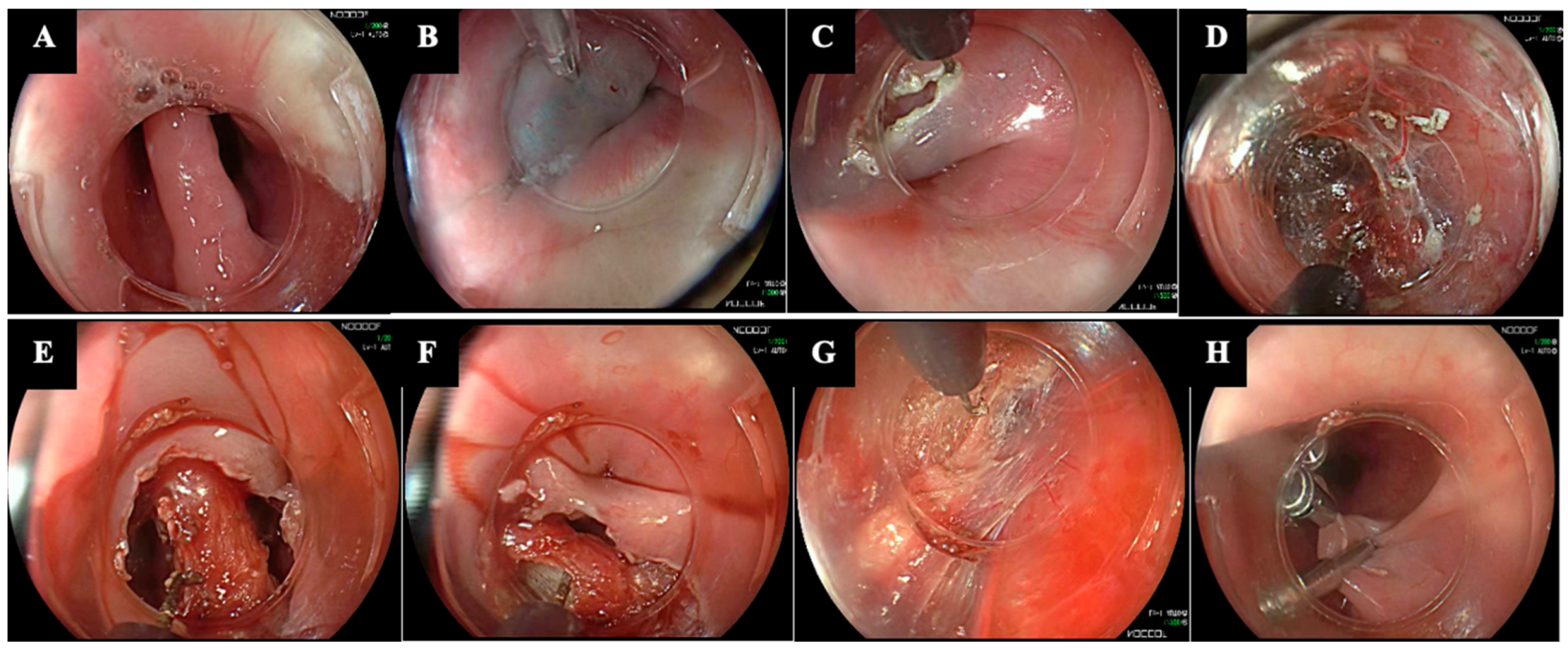 Diagnostics 14 02155 g002