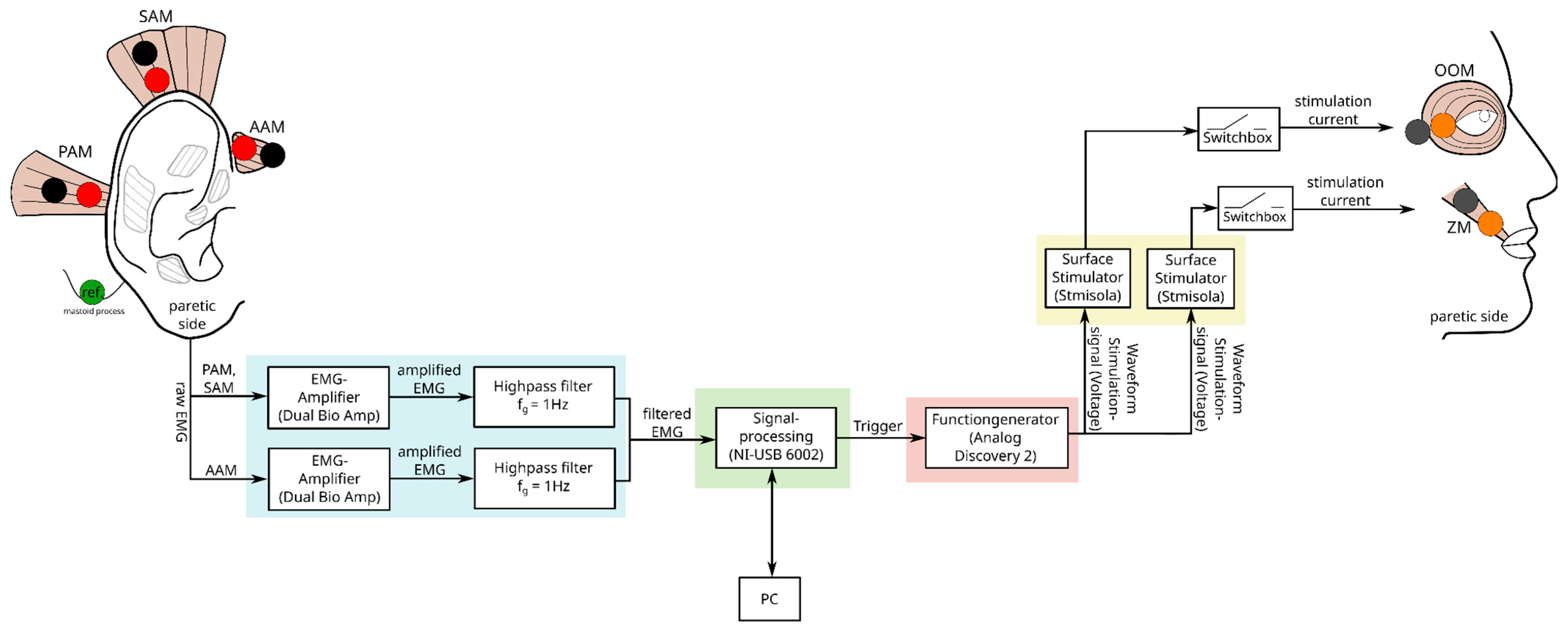Diagnostics 14 02158 g004
