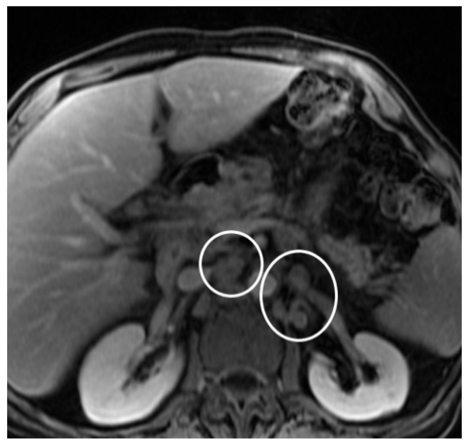 Diagnostics 14 02164 g006