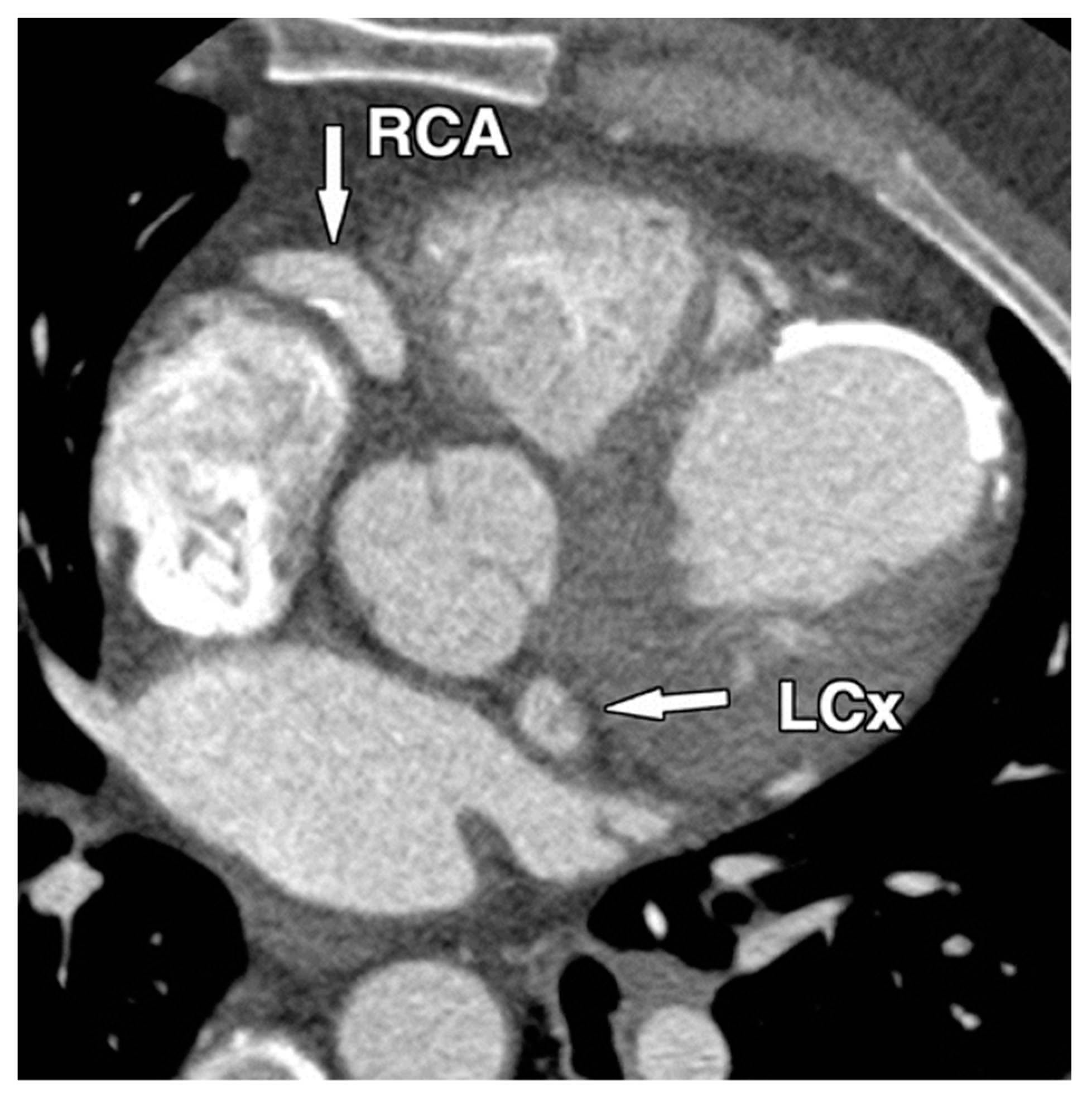 Diagnostics 14 02167 g002