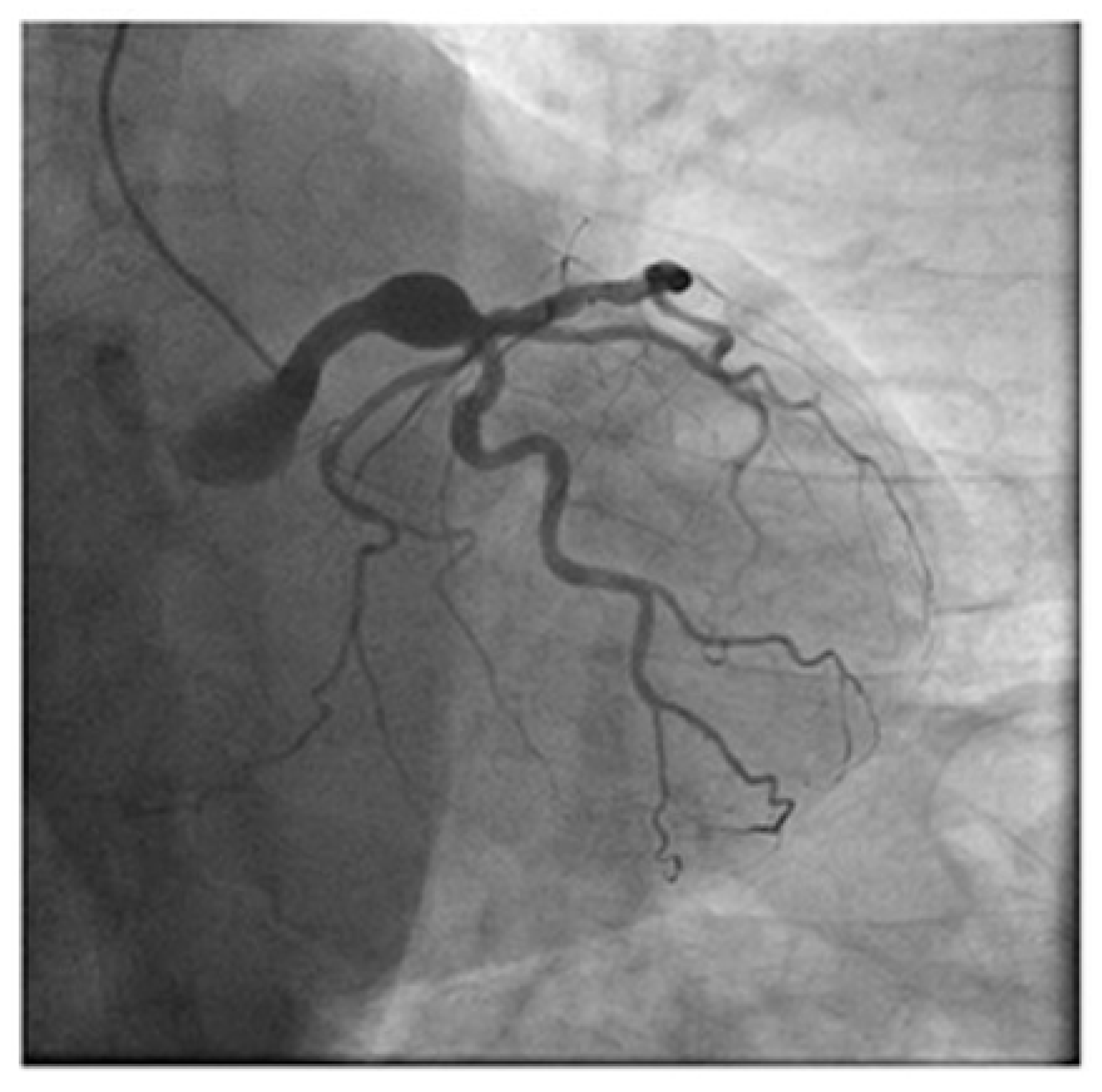 Diagnostics 14 02167 g003