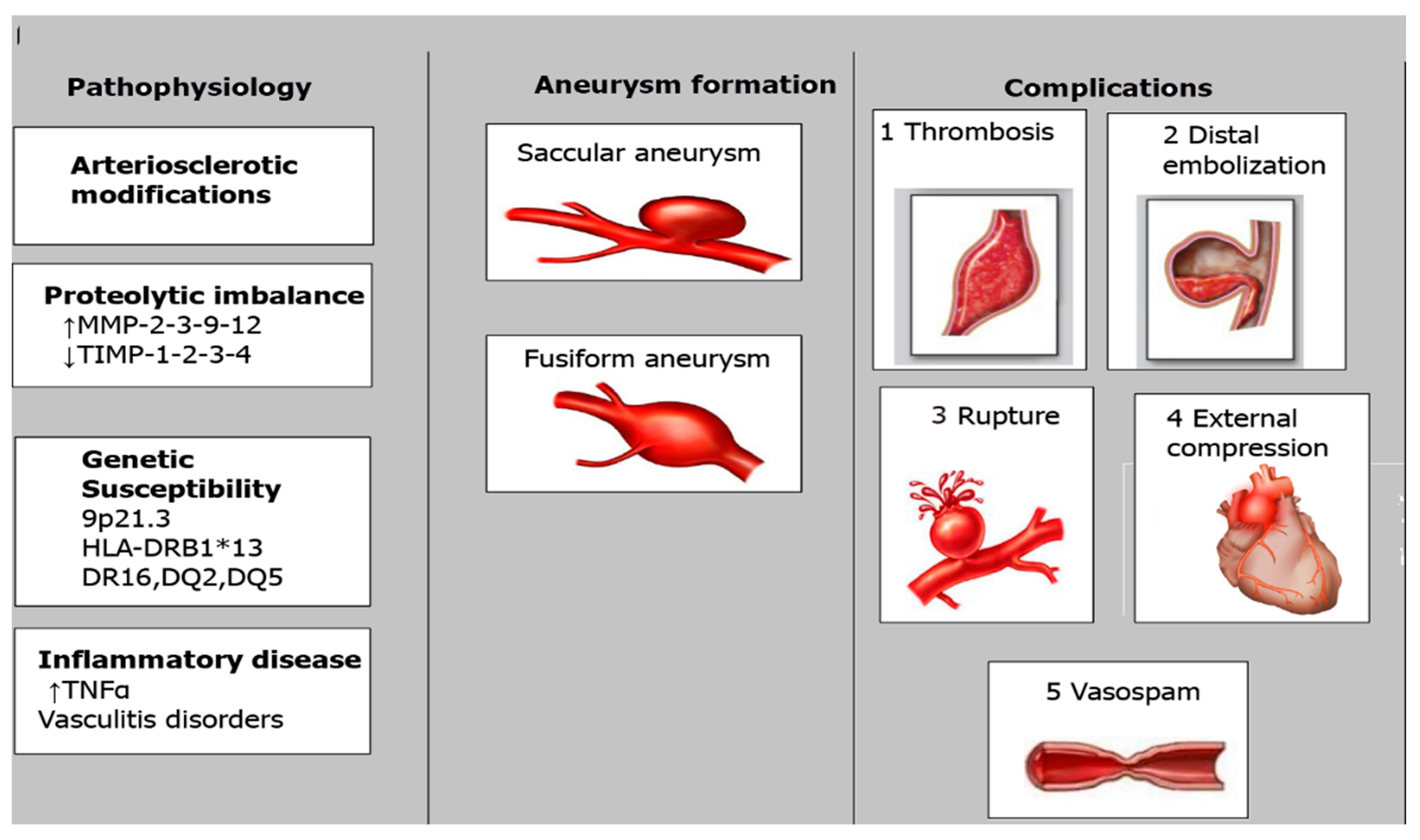Diagnostics 14 02167 g004