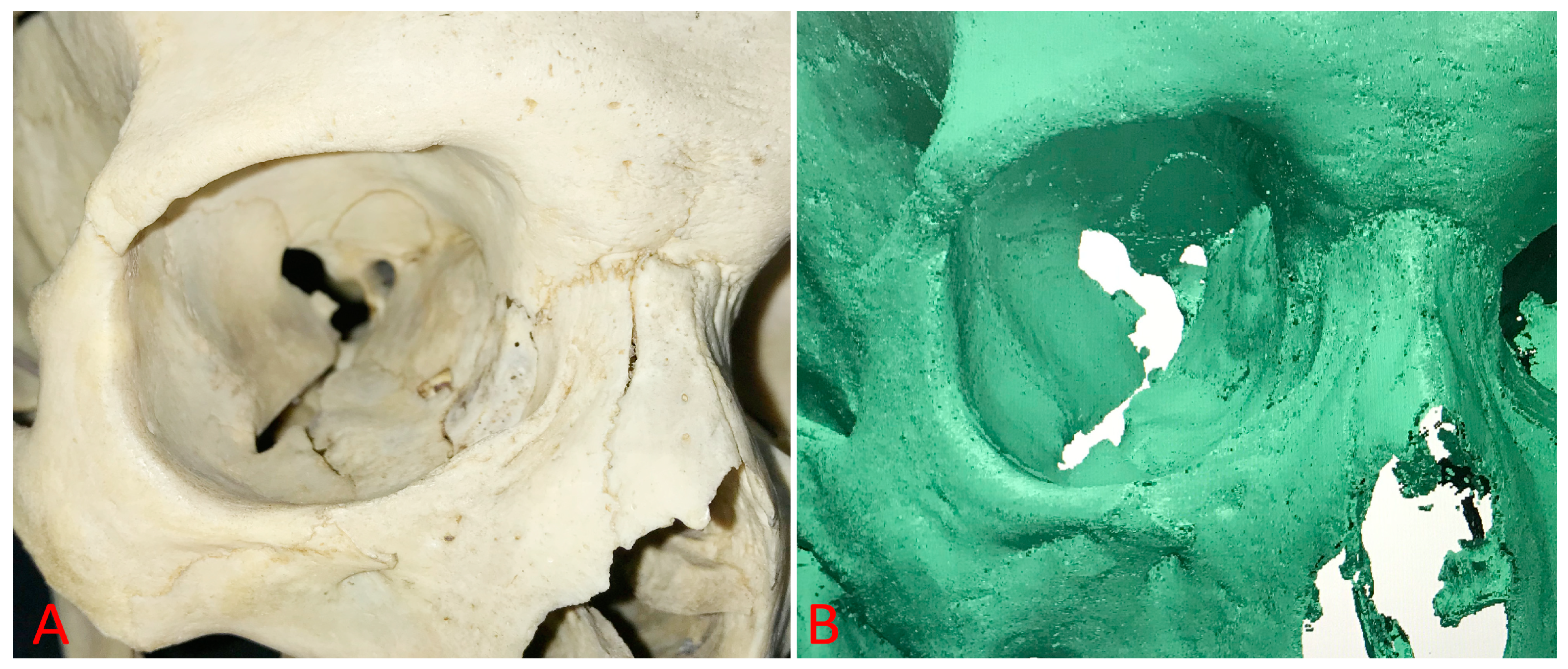 Diagnostics 14 02168 g003