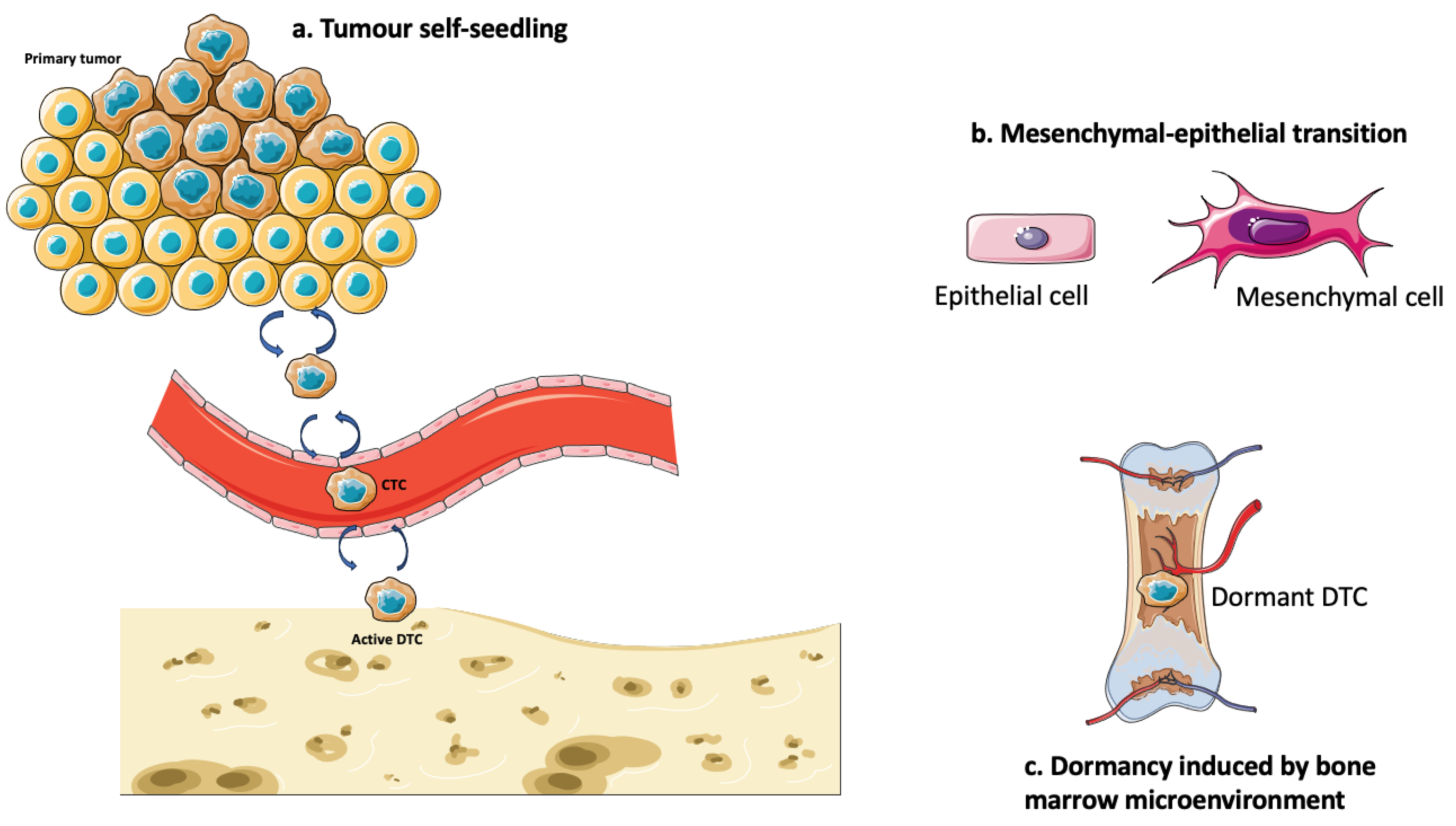 Diagnostics 14 02172 g002 Diagnostics 14 02172 g002