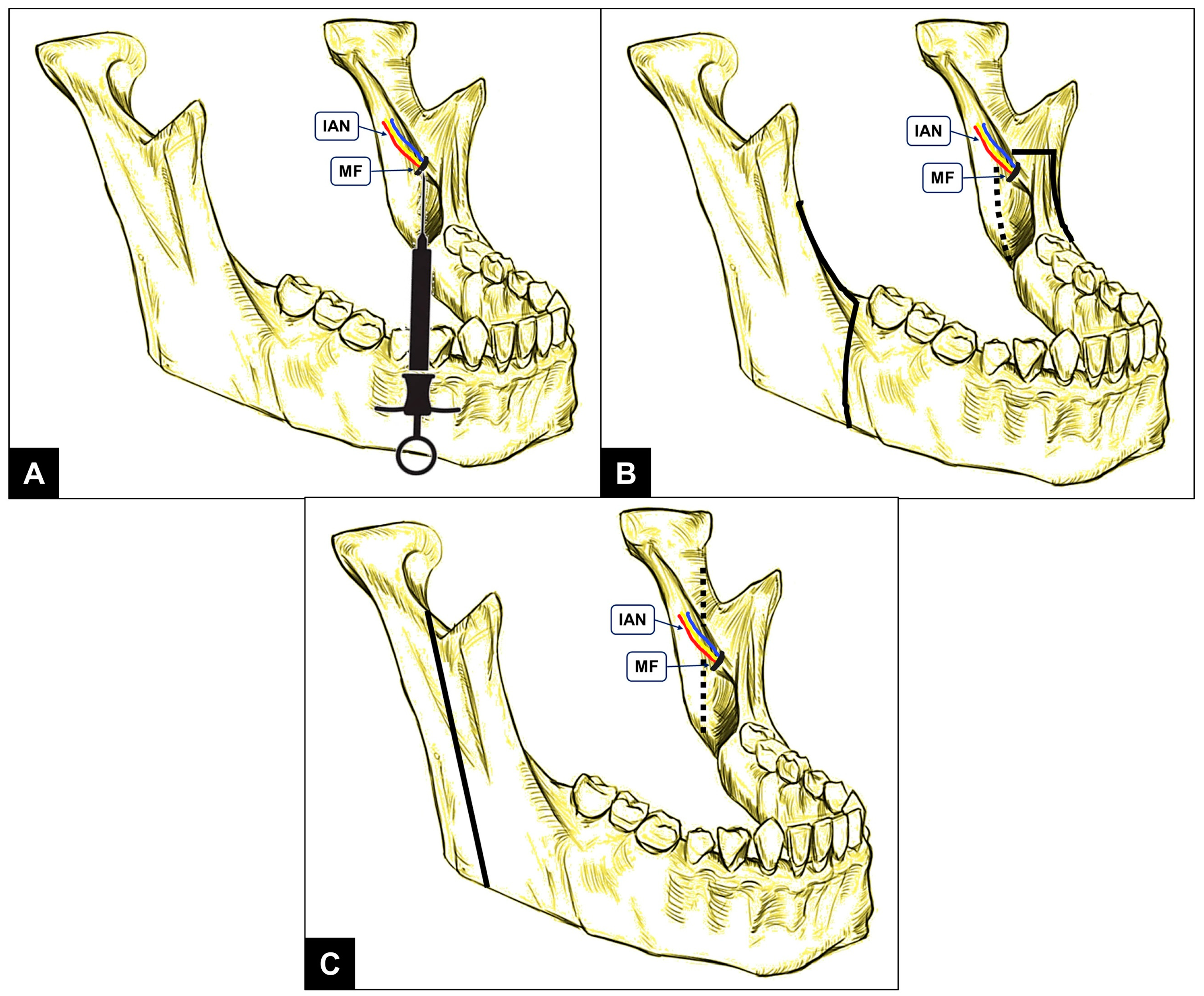 Diagnostics 14 02173 g001