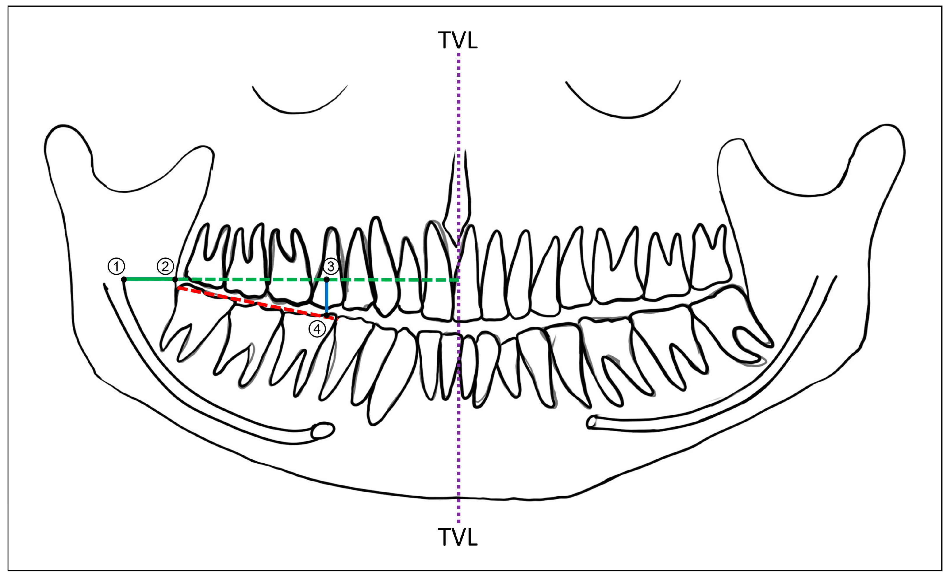 Diagnostics 14 02173 g002