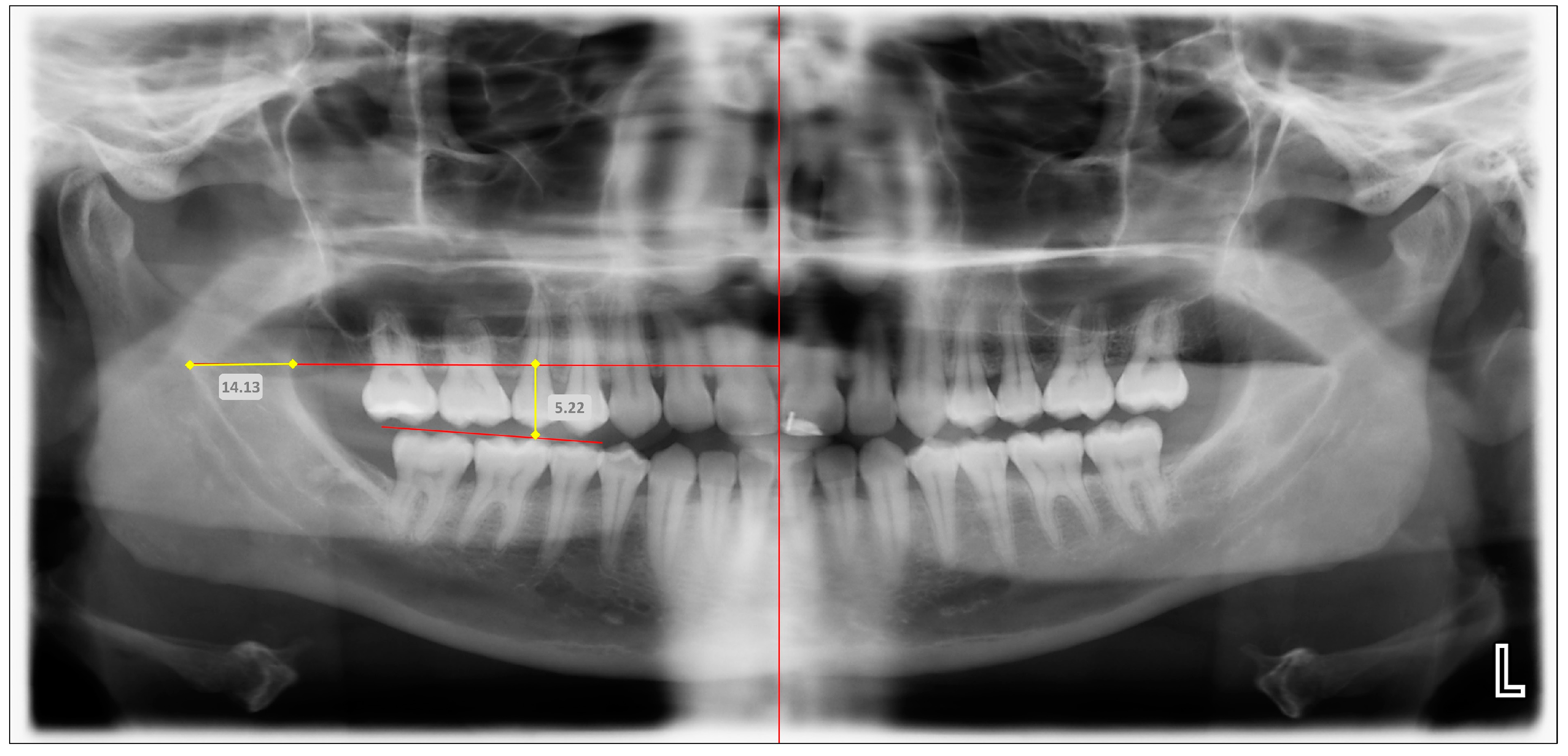 Diagnostics 14 02173 g003
