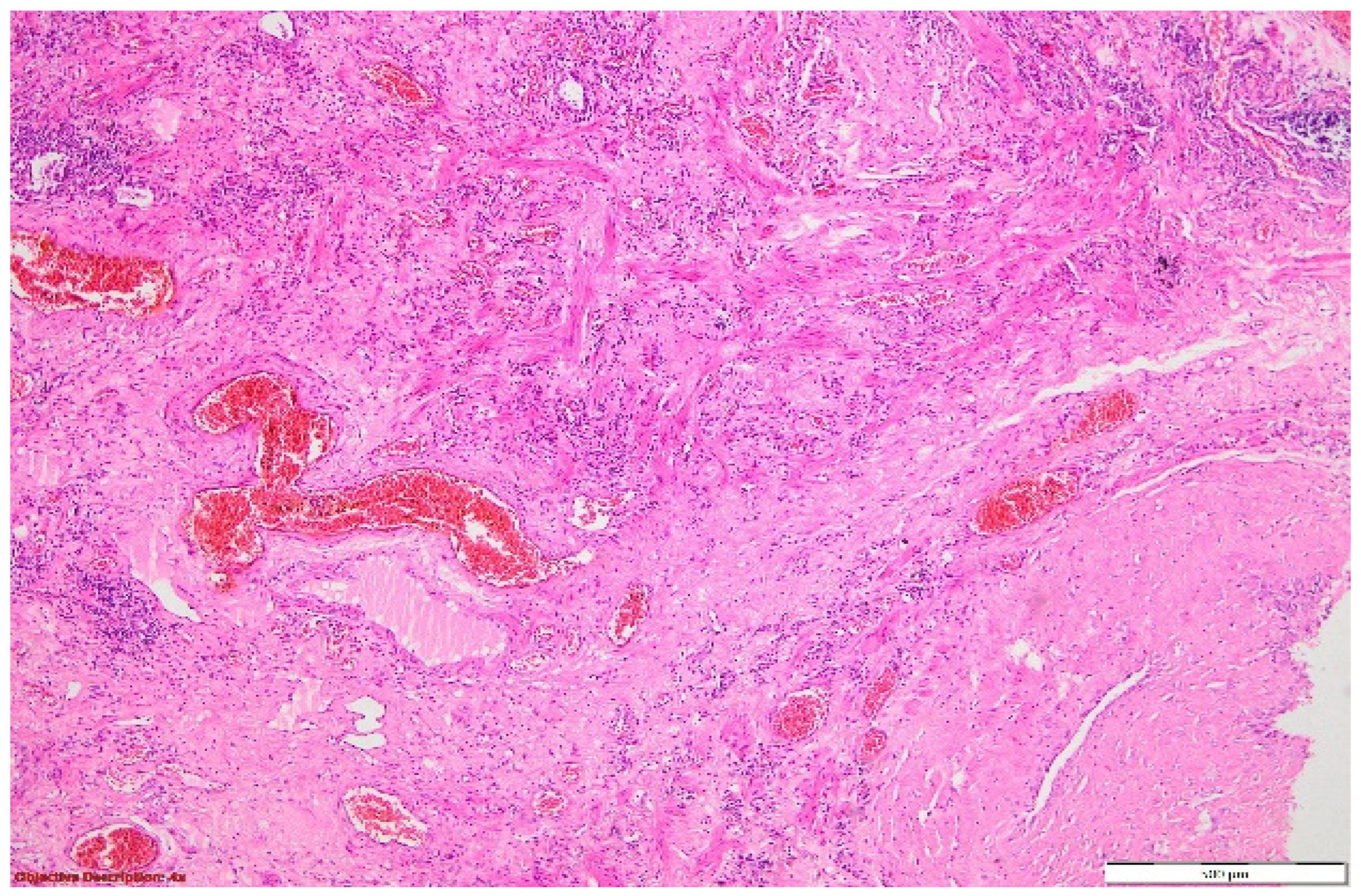 Diagnostics 14 02175 g010