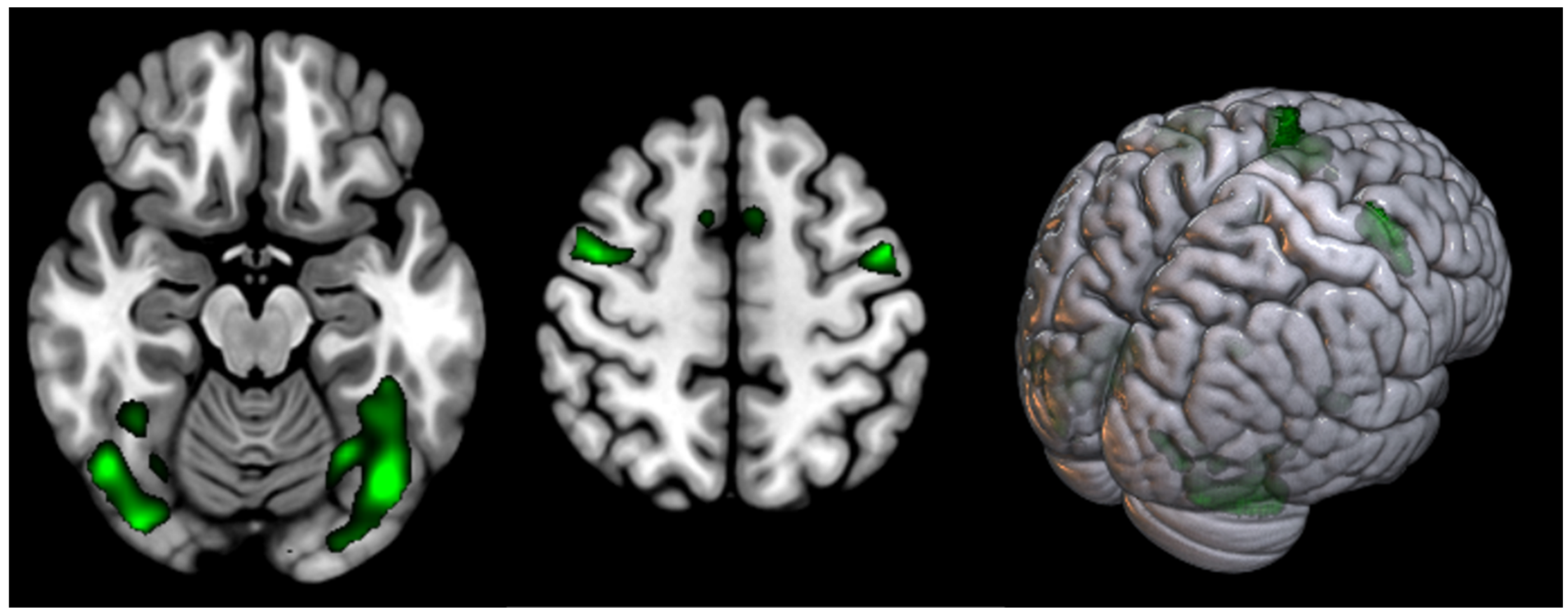 Diagnostics 14 02180 g001