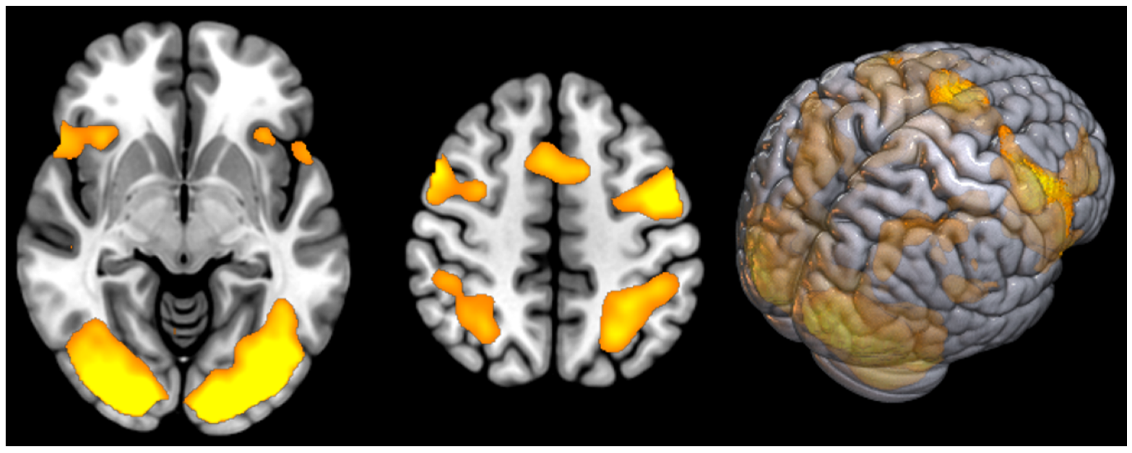 Diagnostics 14 02180 g002