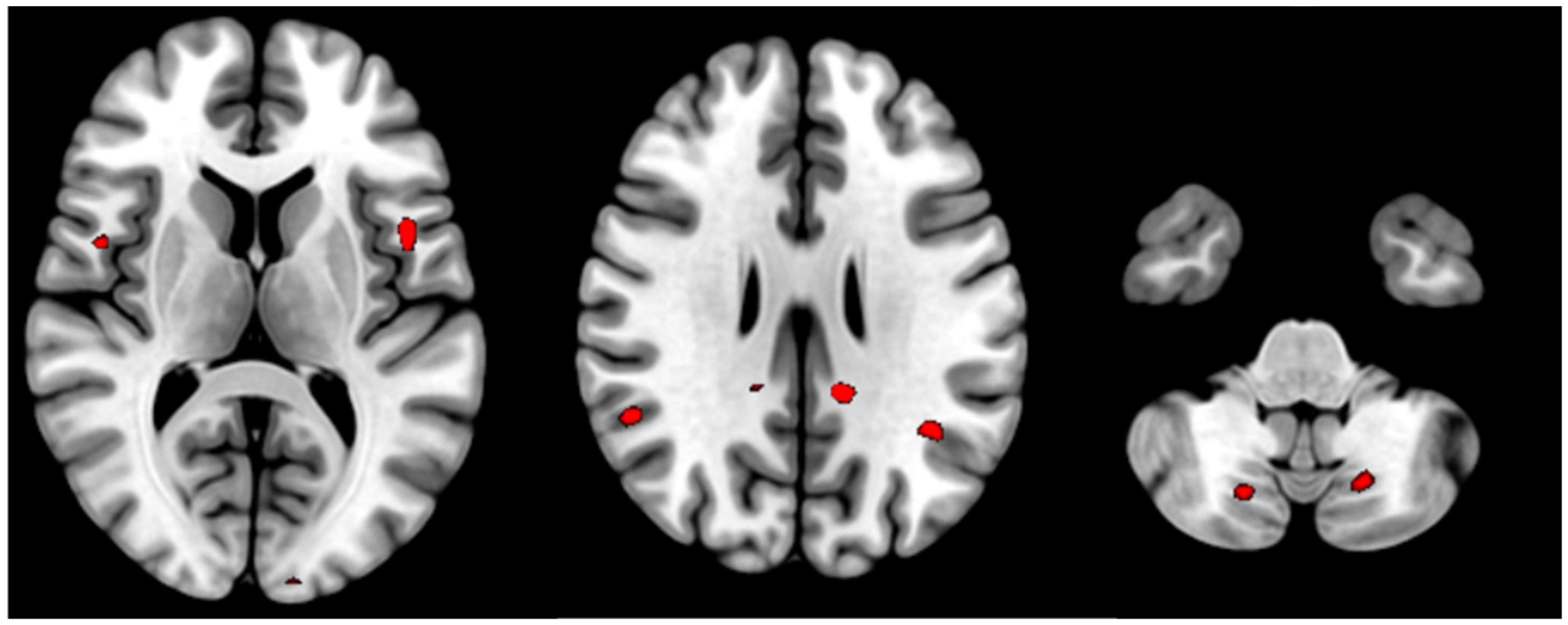 Diagnostics 14 02180 g003