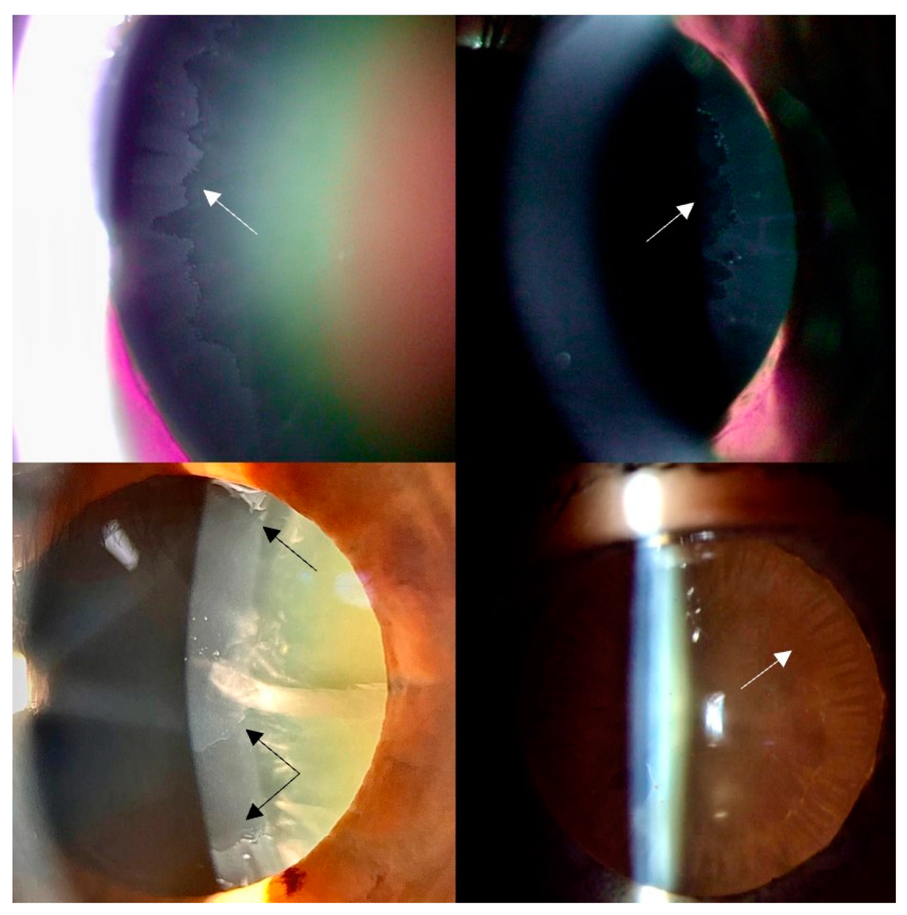 Diagnostics 14 02187 g001