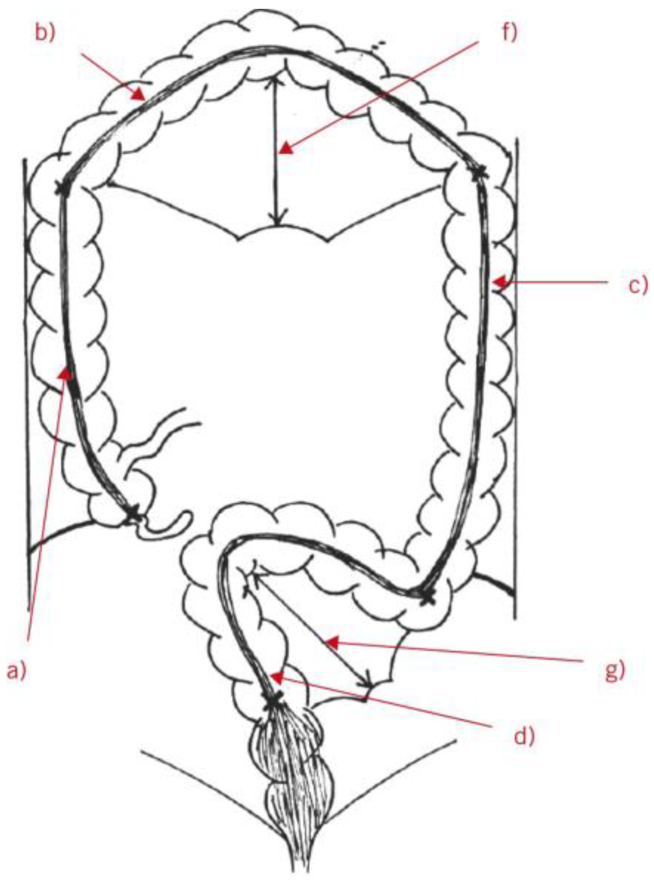 Diagnostics 14 02190 g003