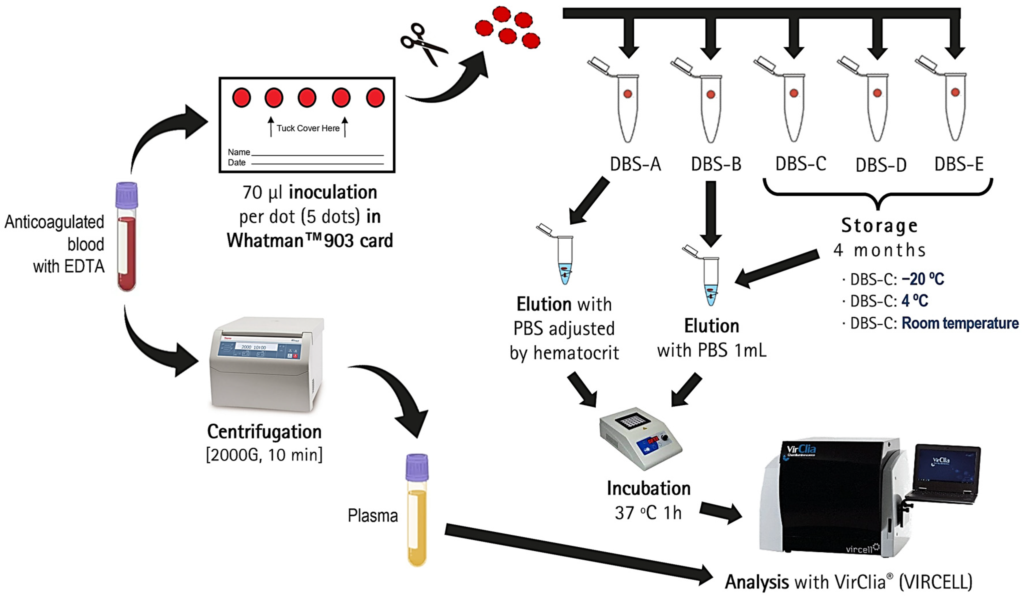 Diagnostics 14 02195 g001