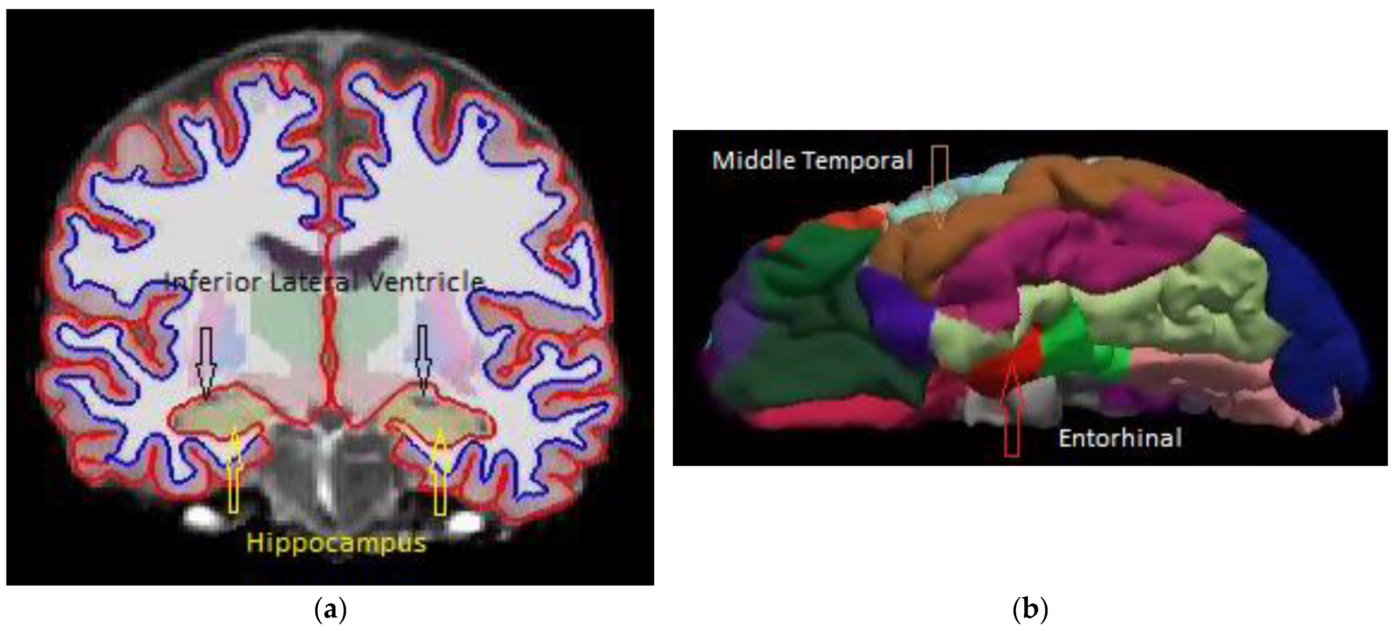 Diagnostics 14 02203 g002