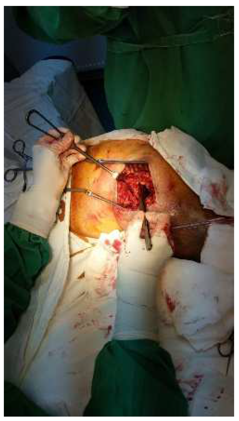 Diagnostics 14 02206 g002 Diagnostics 14 02206 g002