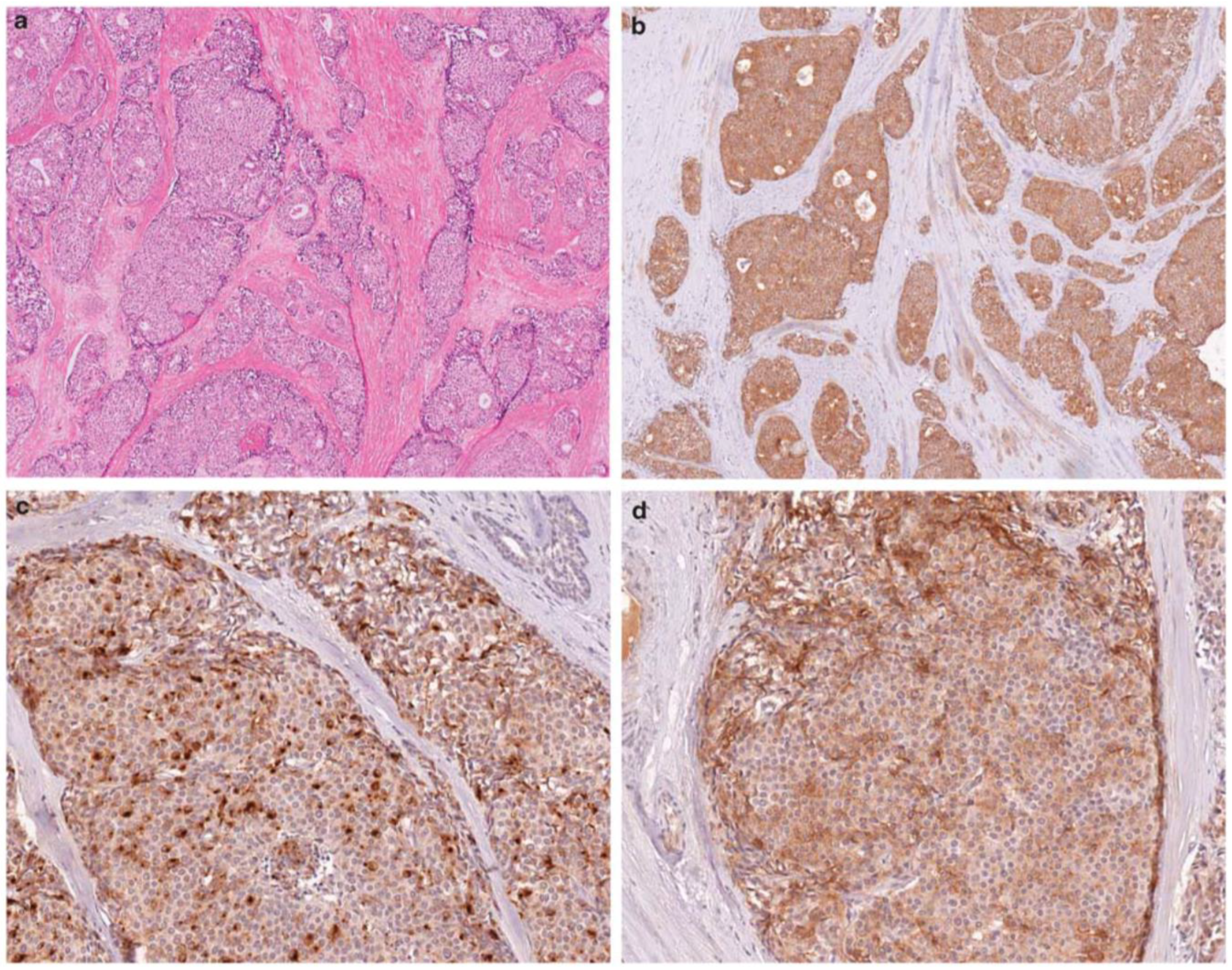 Diagnostics 14 02211 g001