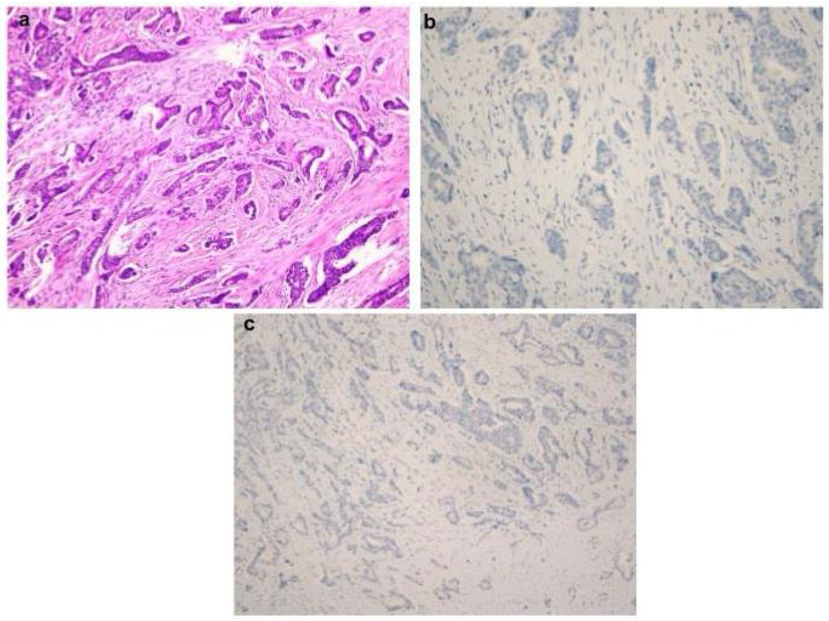 Diagnostics 14 02211 g002