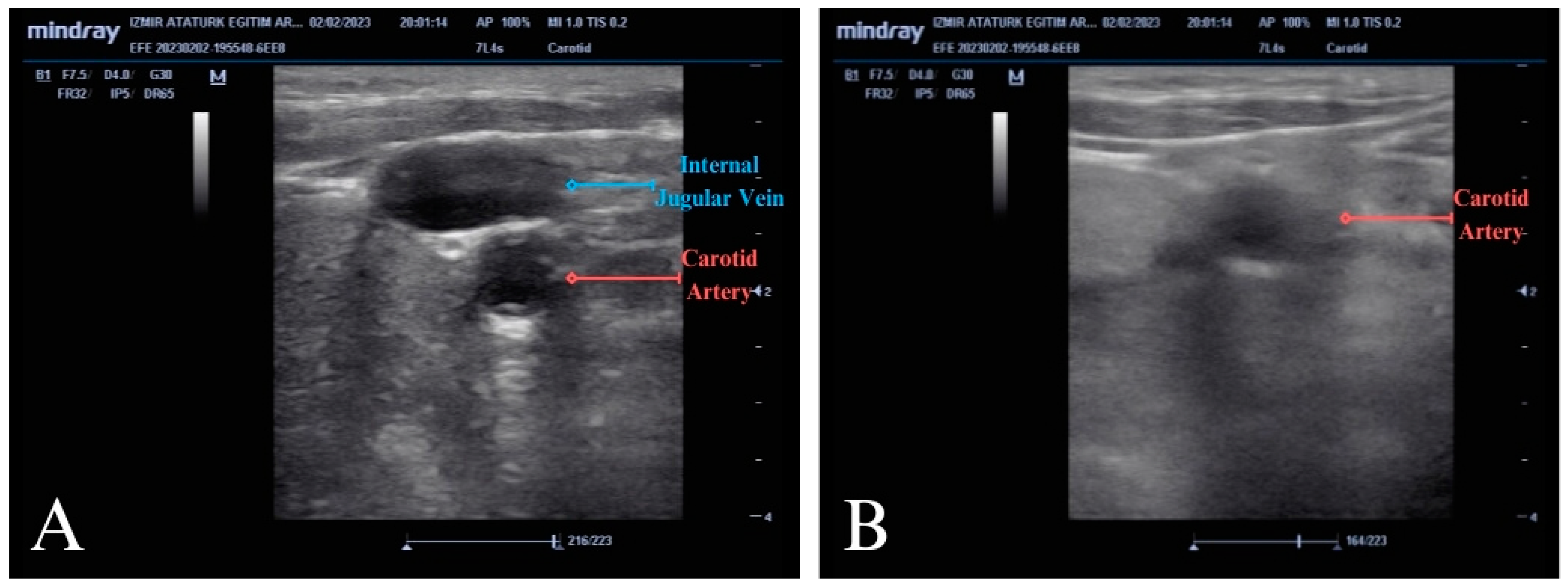Diagnostics 14 02213 g002