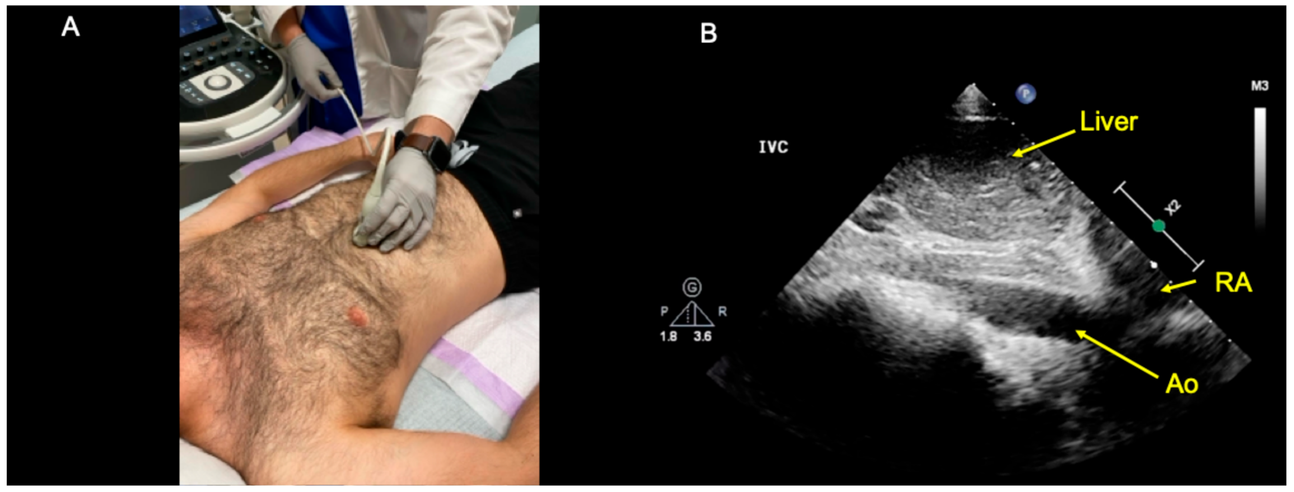 Diagnostics 14 02218 g001