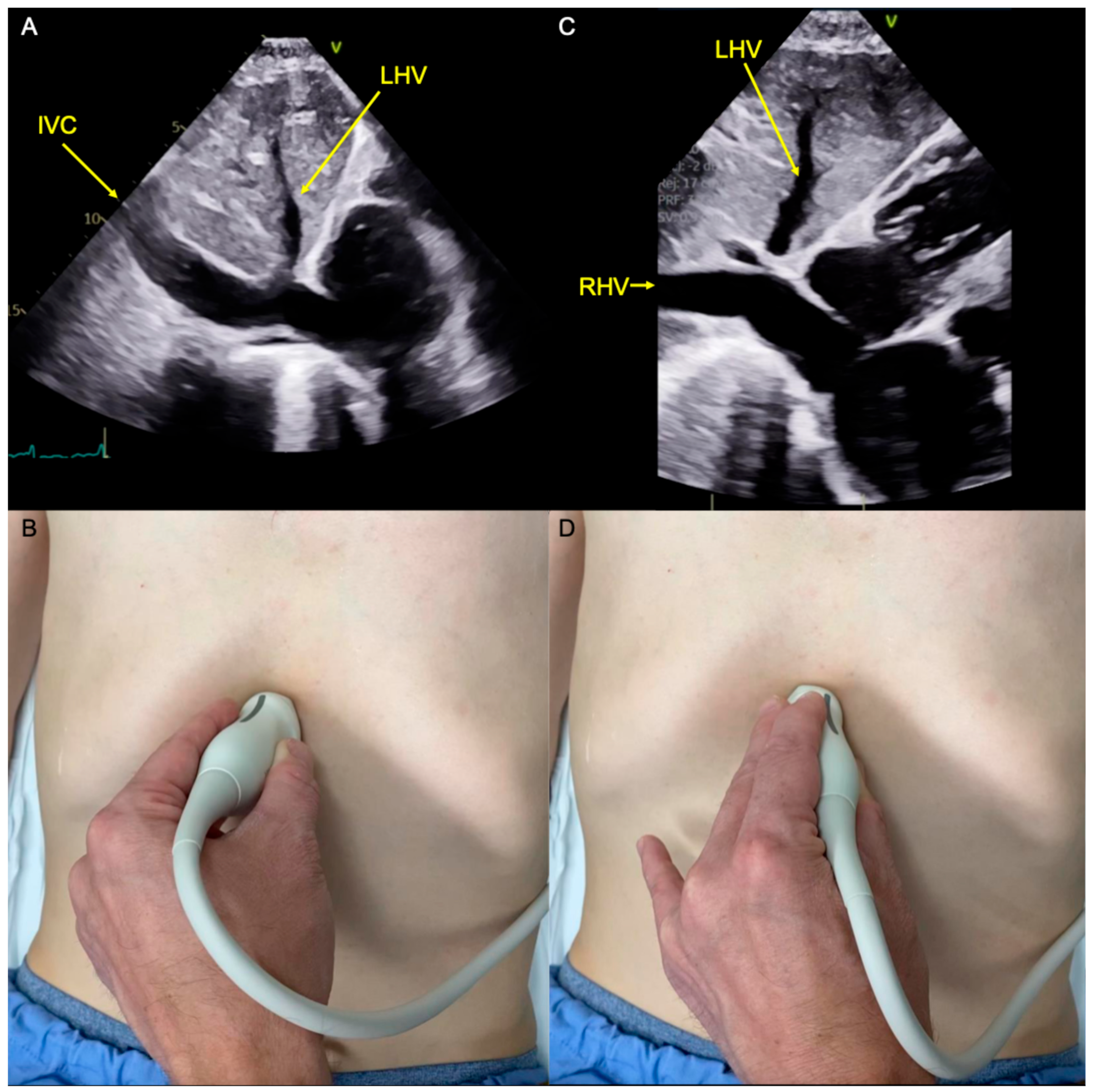 Diagnostics 14 02218 g003