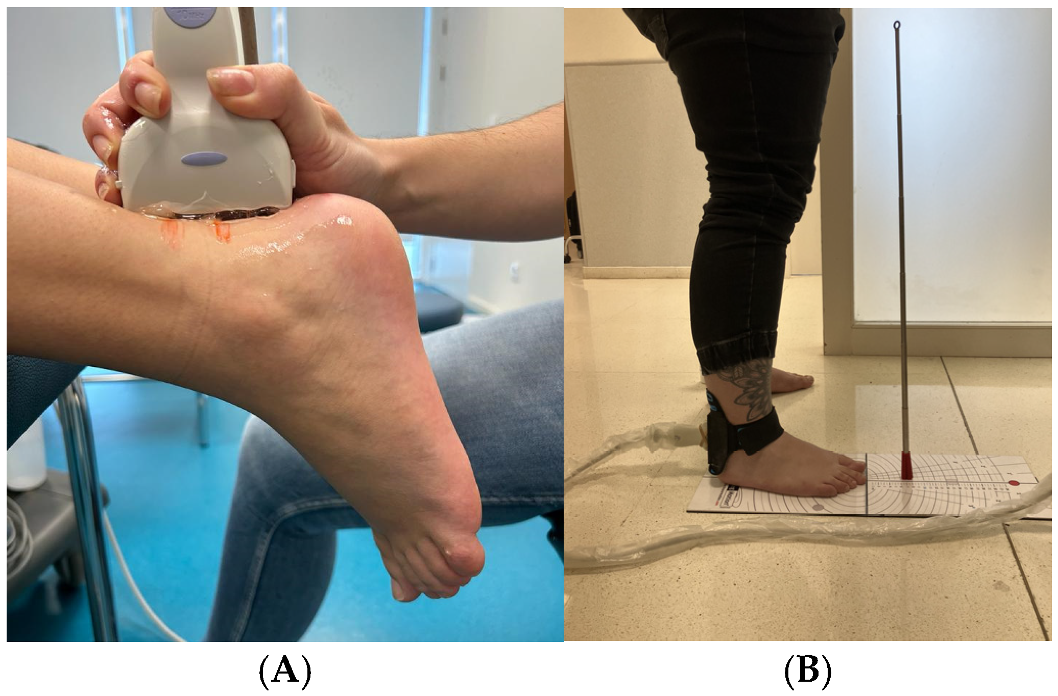 Diagnostics 14 02221 g001