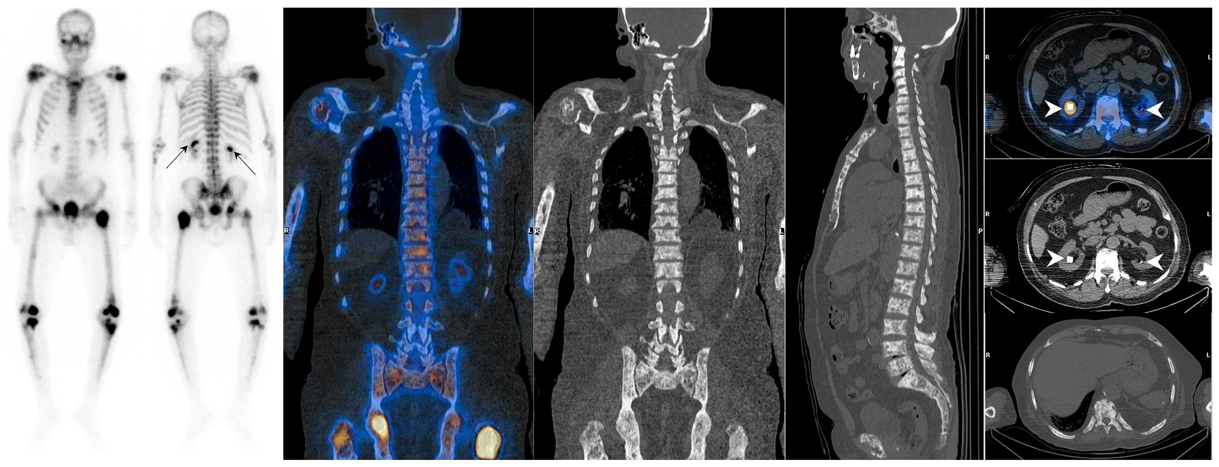 Diagnostics 14 02229 g002