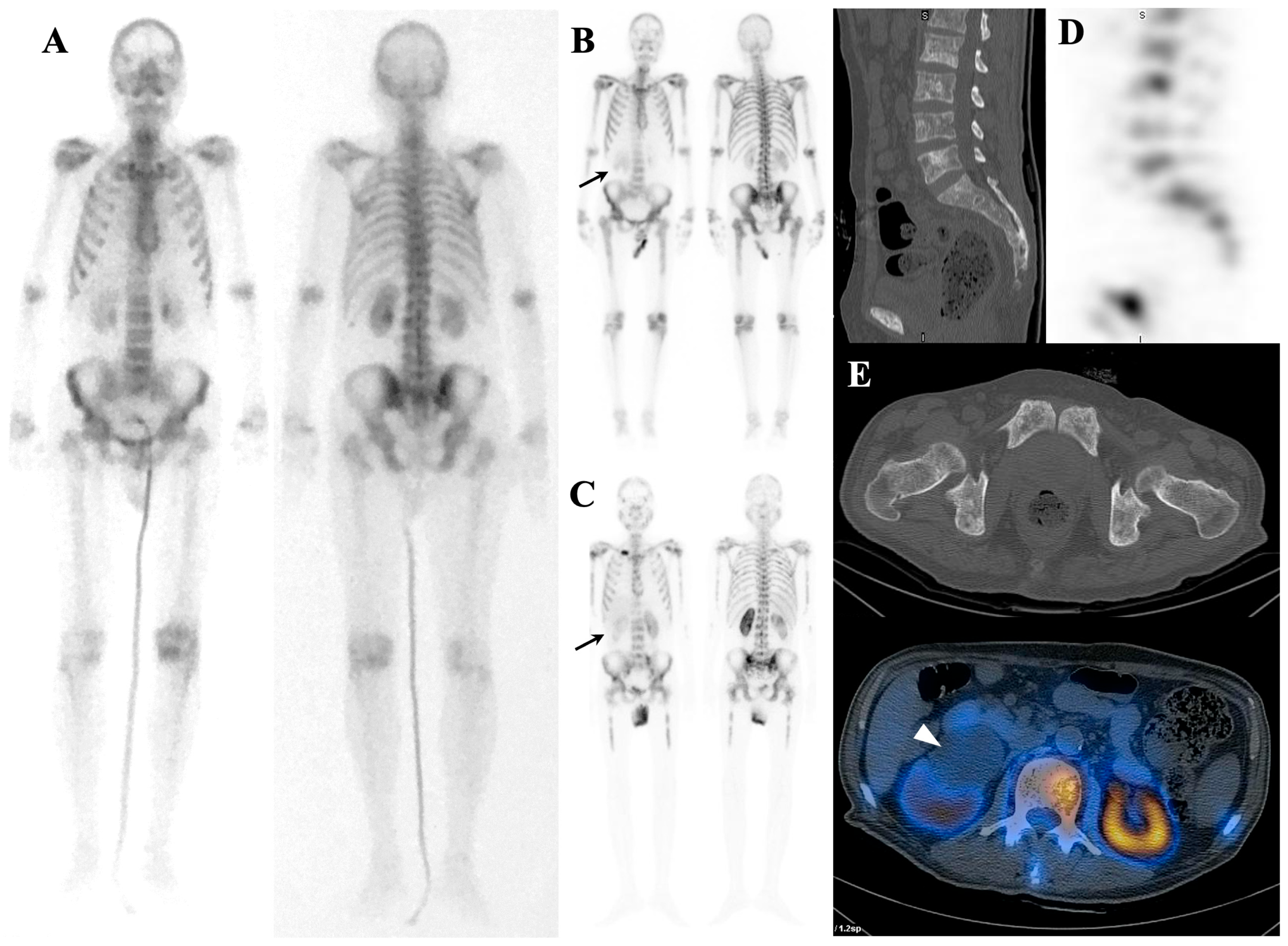Diagnostics 14 02229 g003