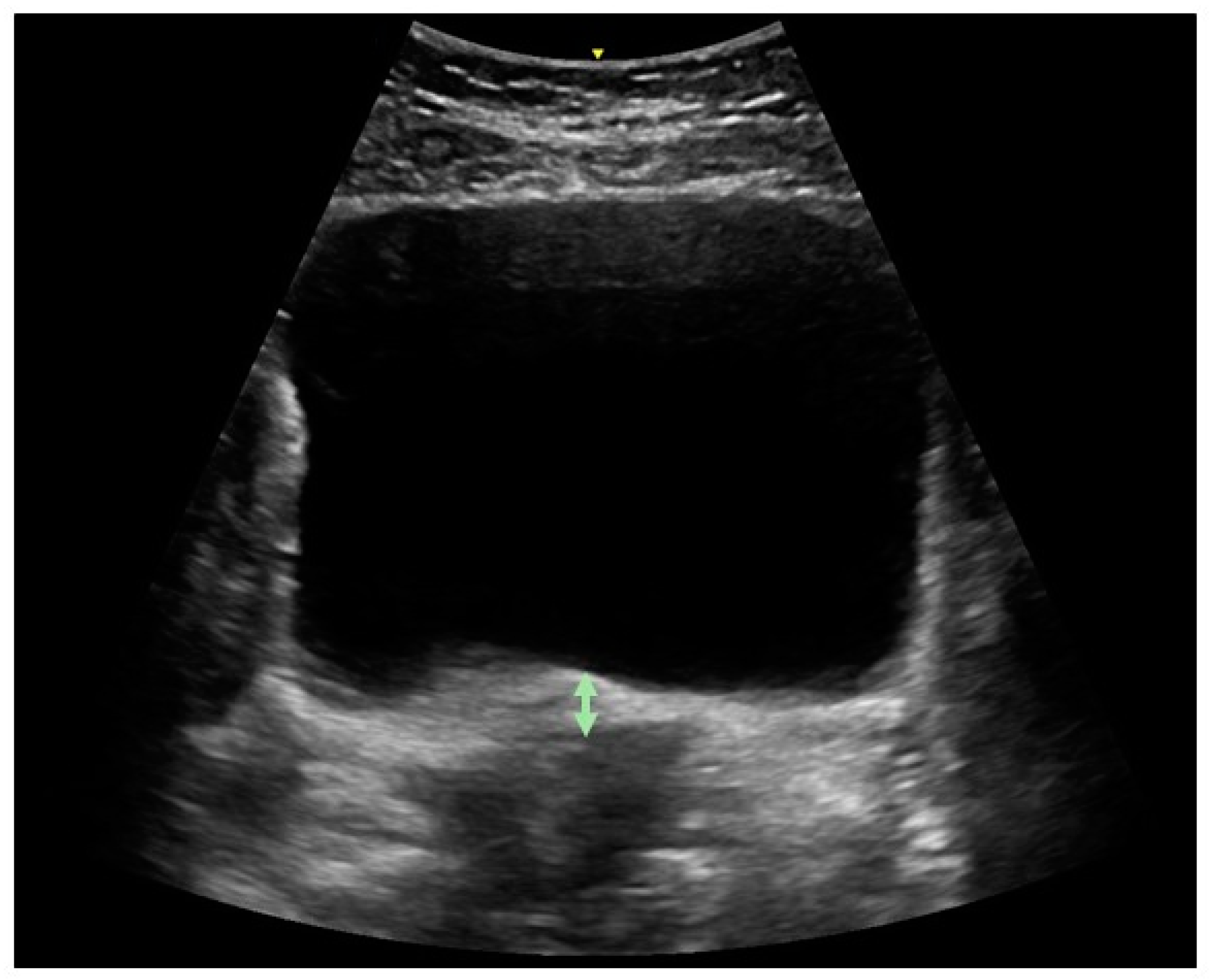 Diagnostics 14 02230 g001