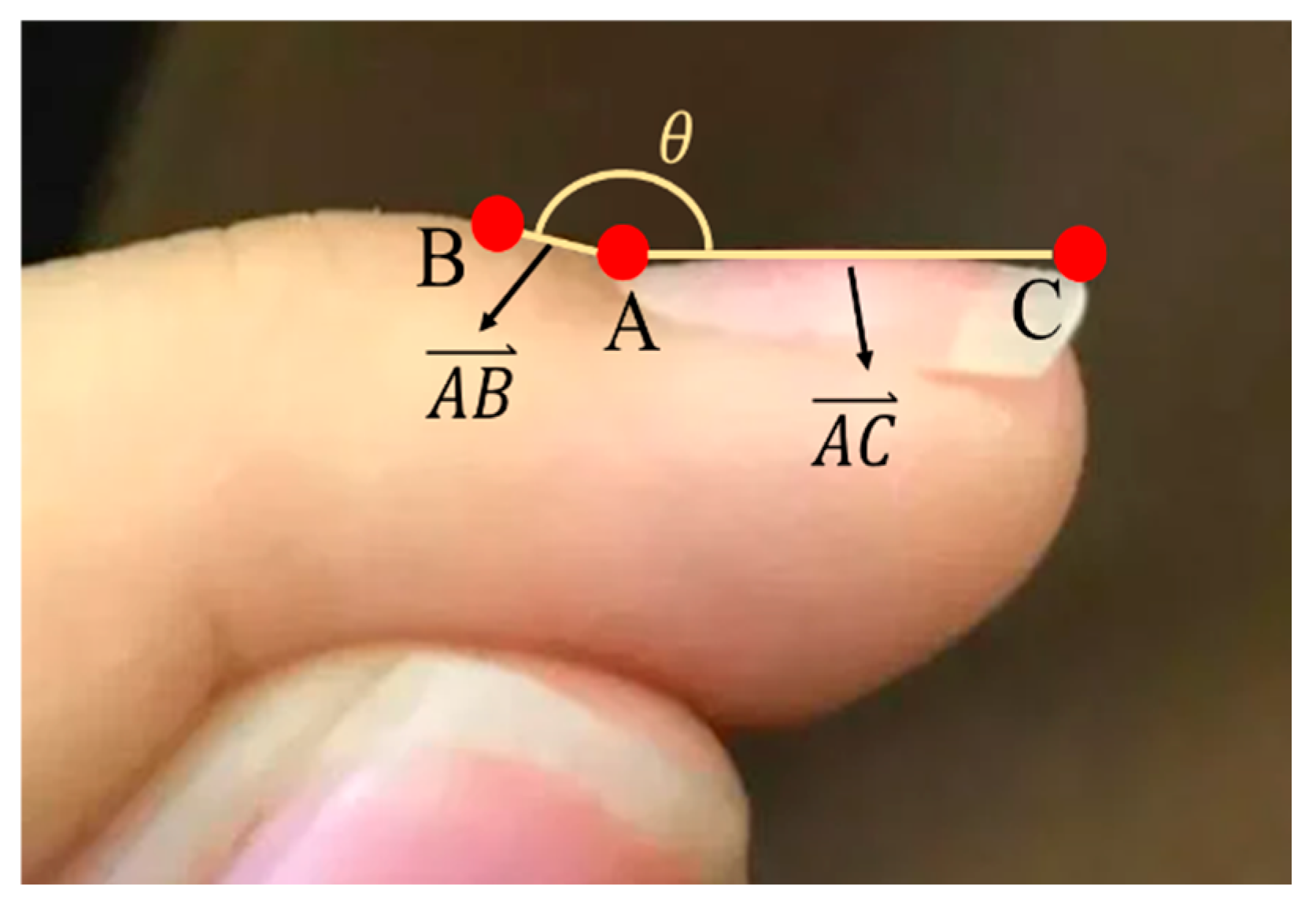 Diagnostics 14 02234 g006