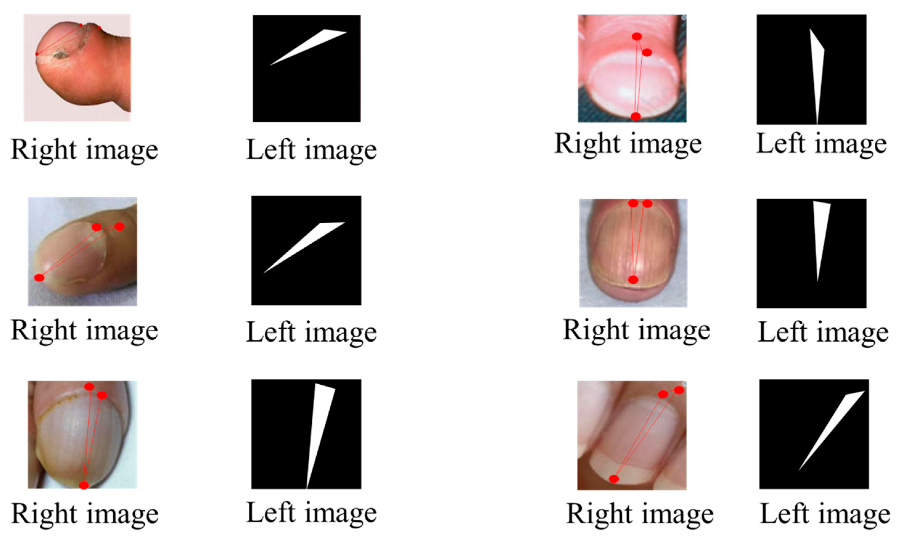 Diagnostics 14 02234 g009