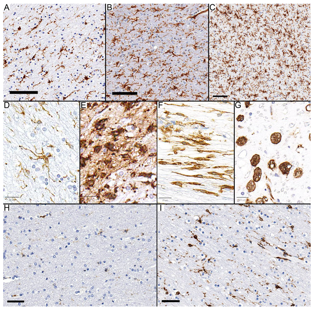 Diagnostics 14 02240 g001