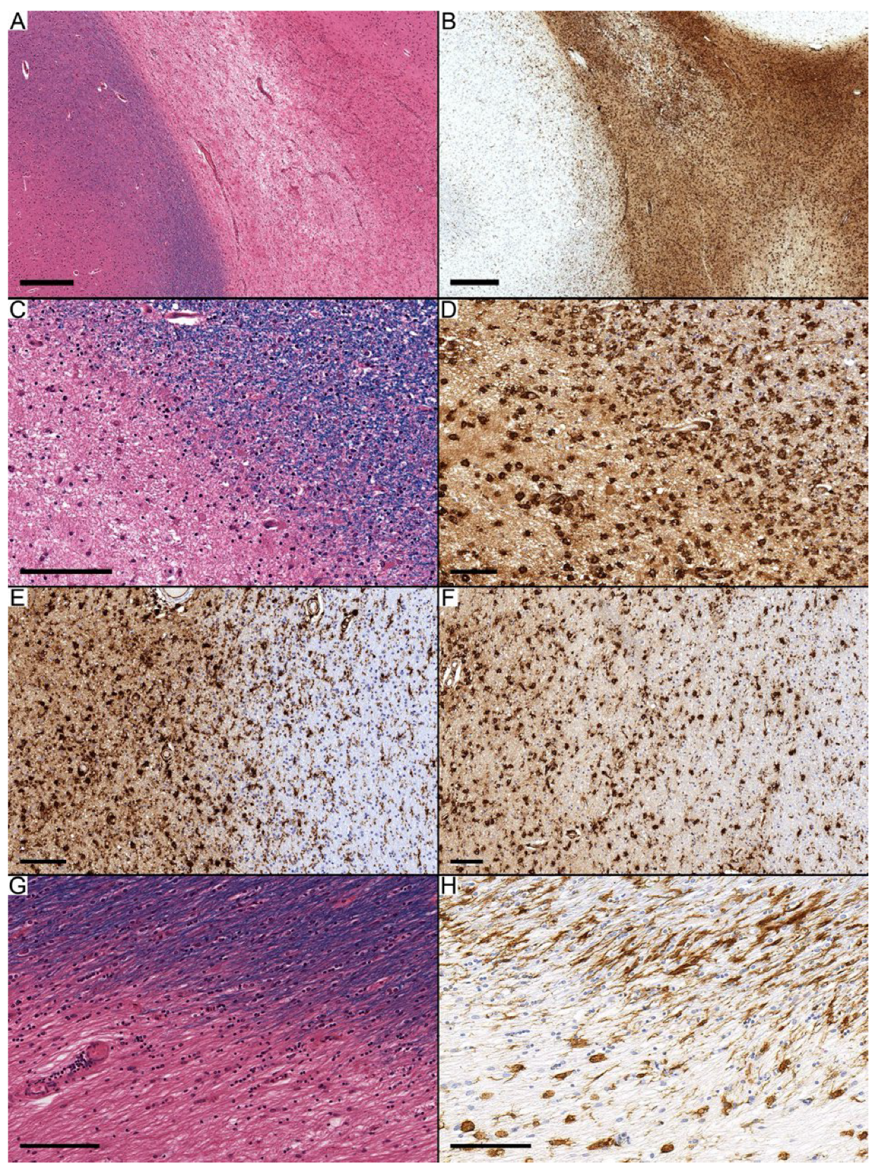 Diagnostics 14 02240 g002