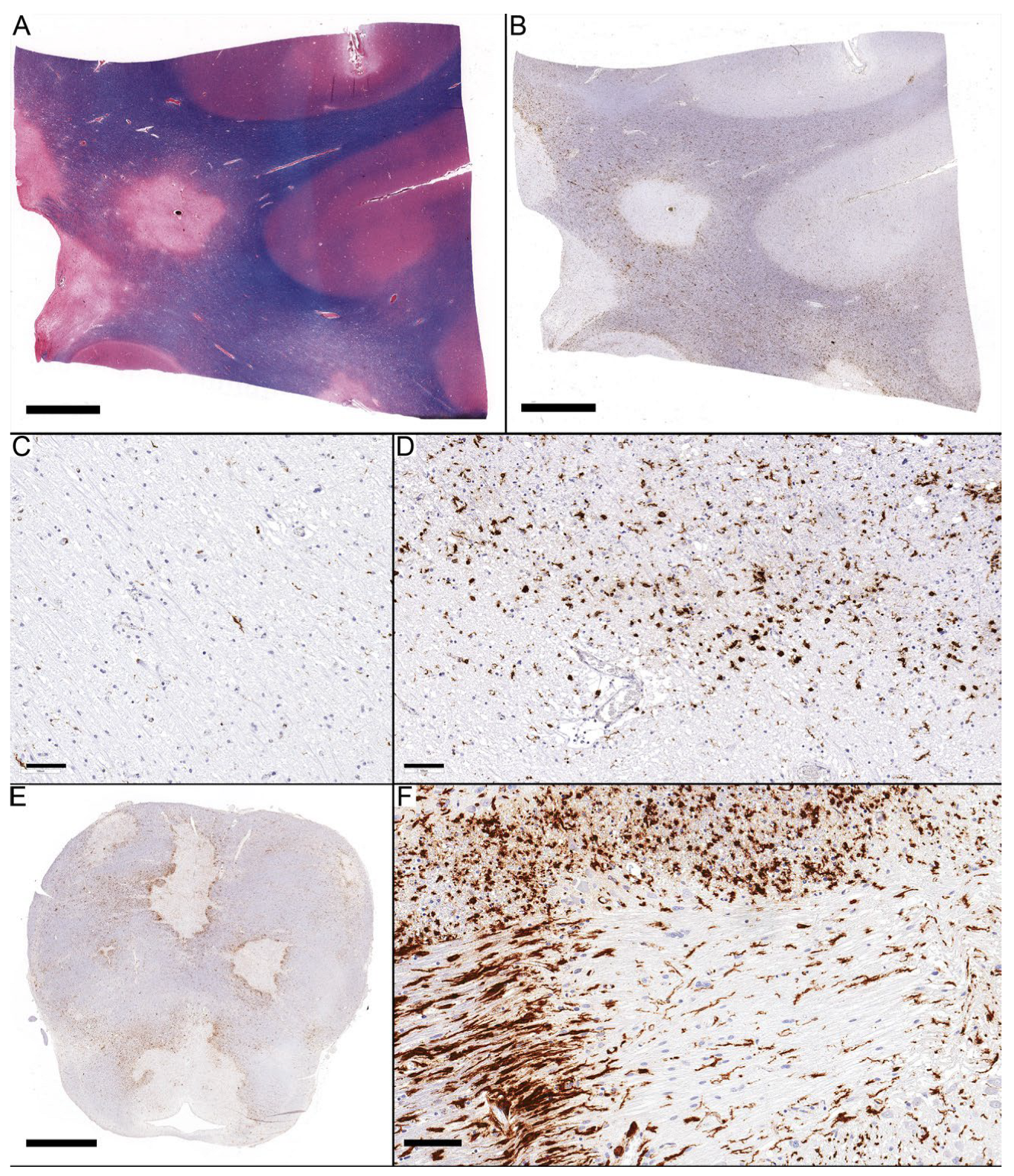 Diagnostics 14 02240 g003