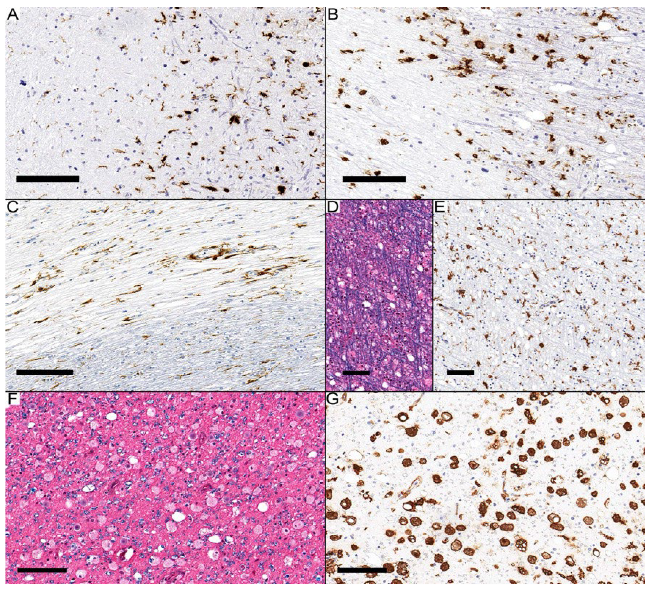 Diagnostics 14 02240 g004