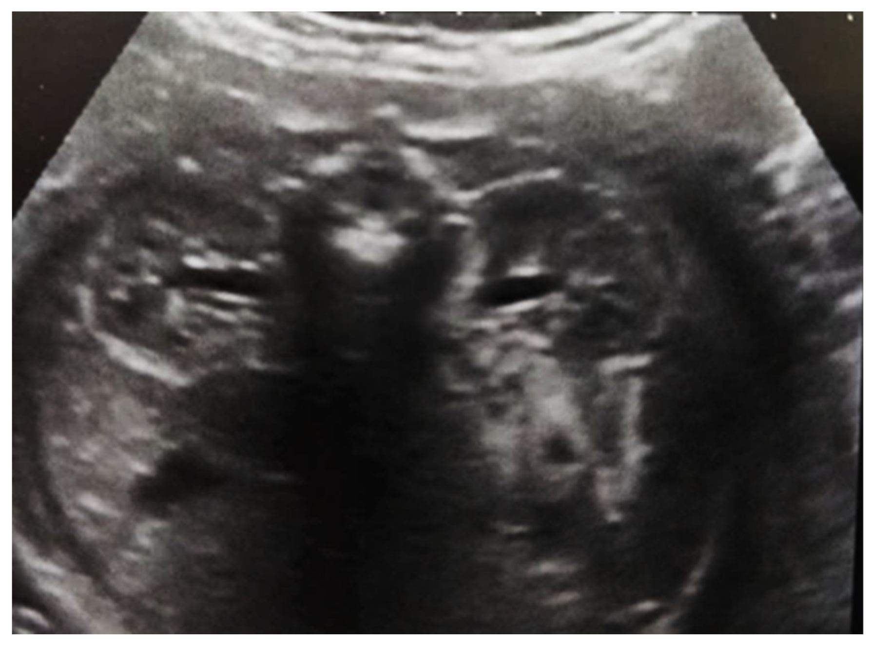 Diagnostics 14 02243 g005