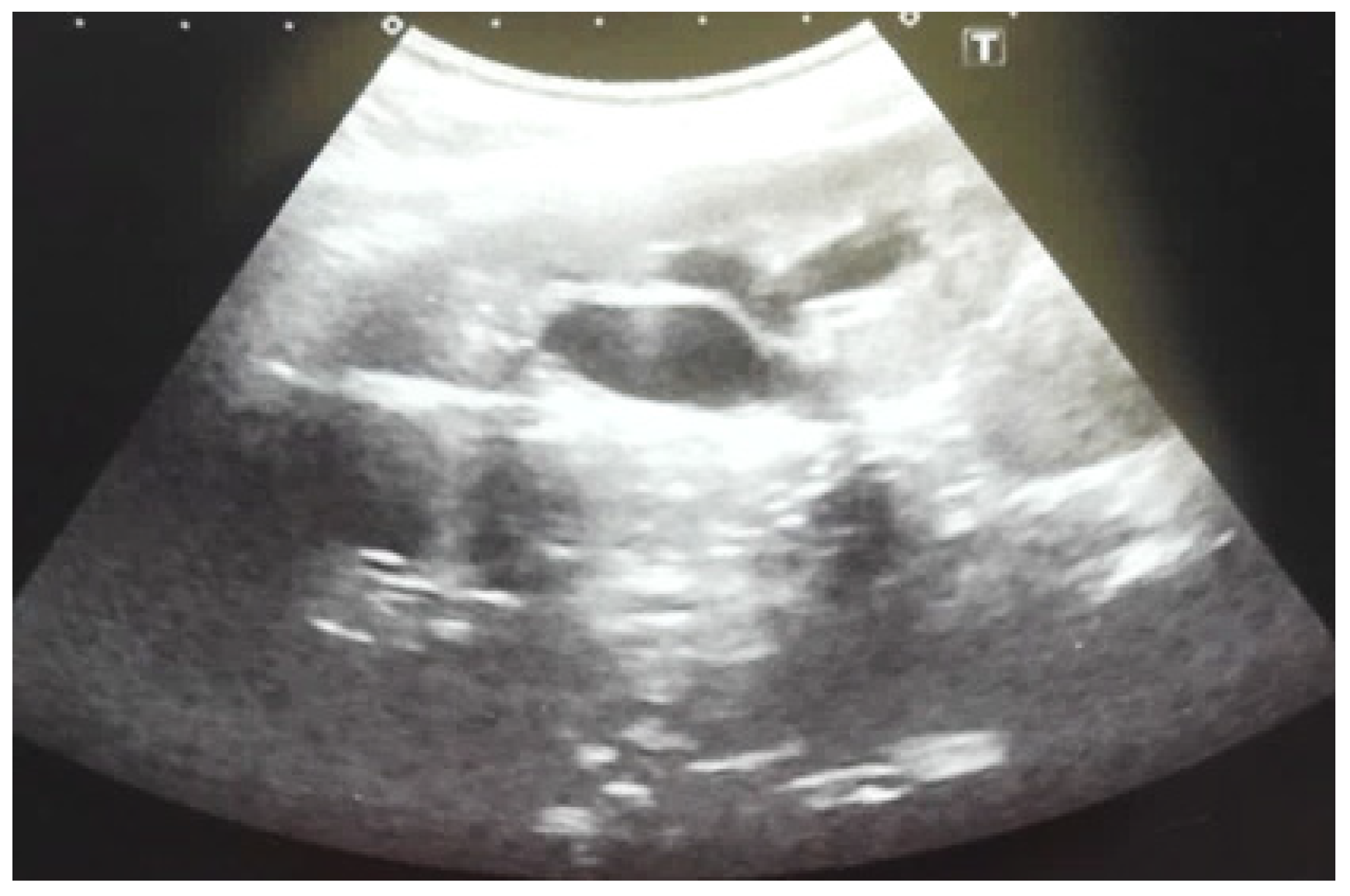 Diagnostics 14 02243 g006