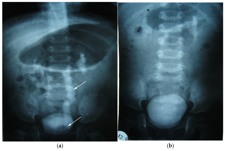 Diagnostics 14 02243 g010