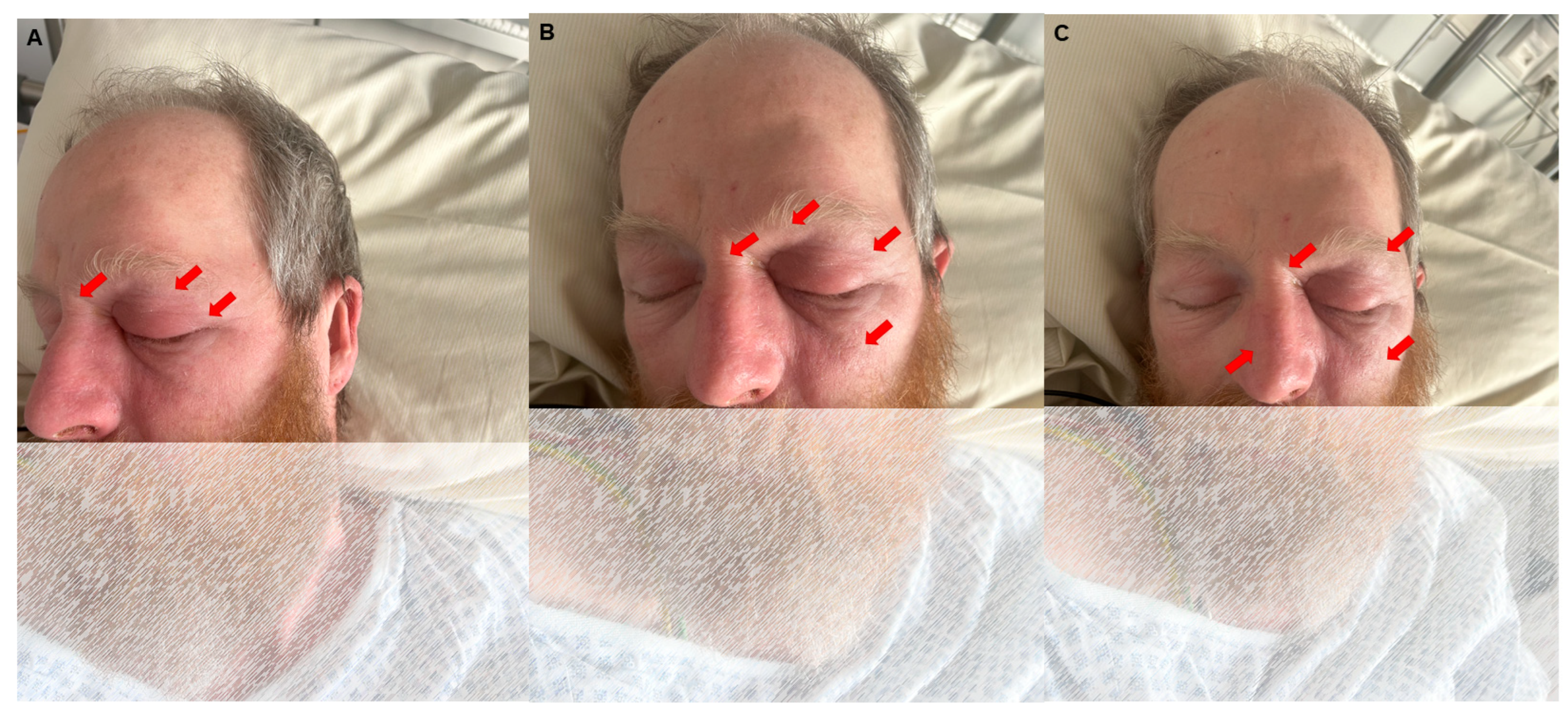 Diagnostics 14 02246 g001