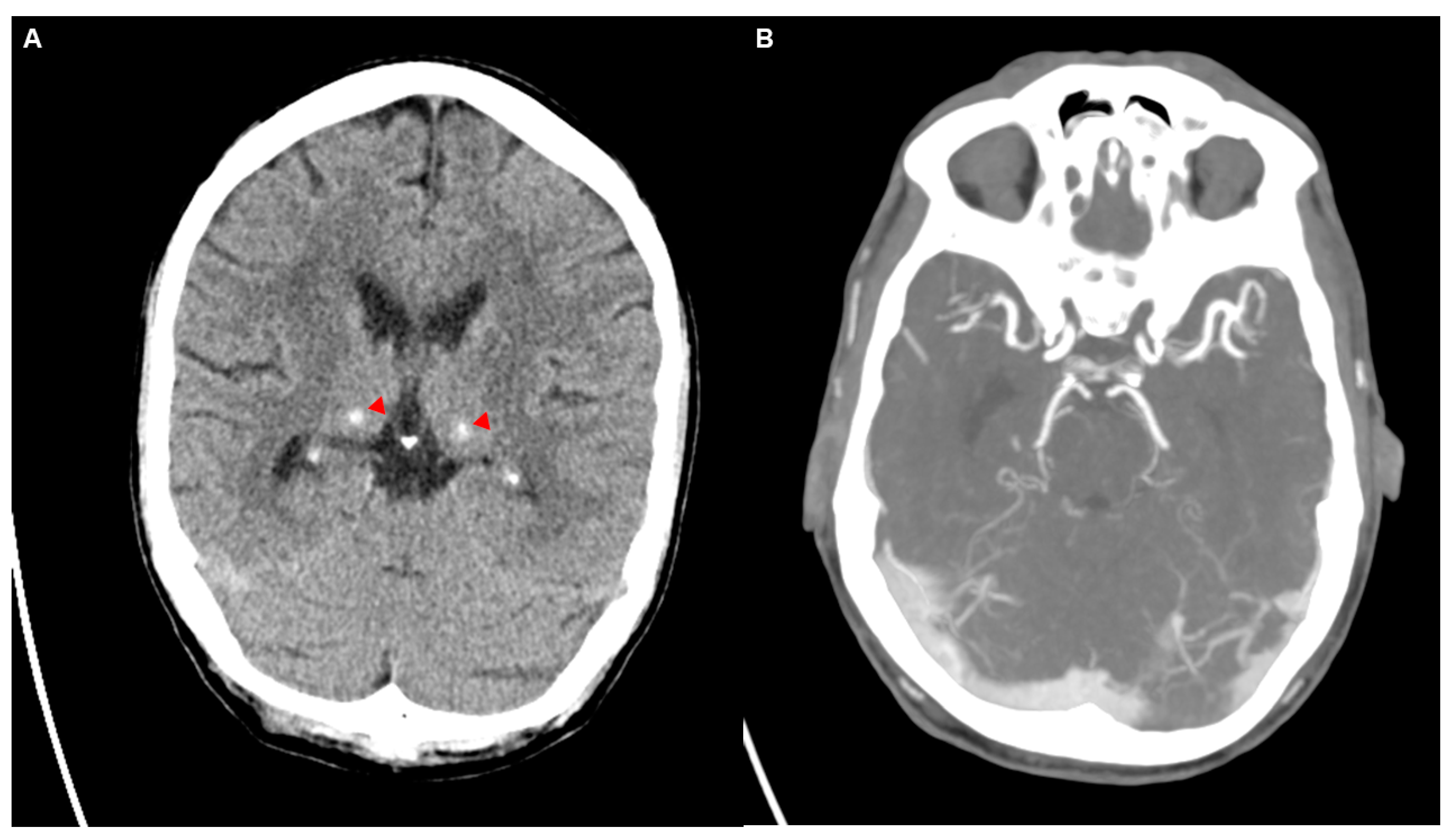 Diagnostics 14 02246 g002
