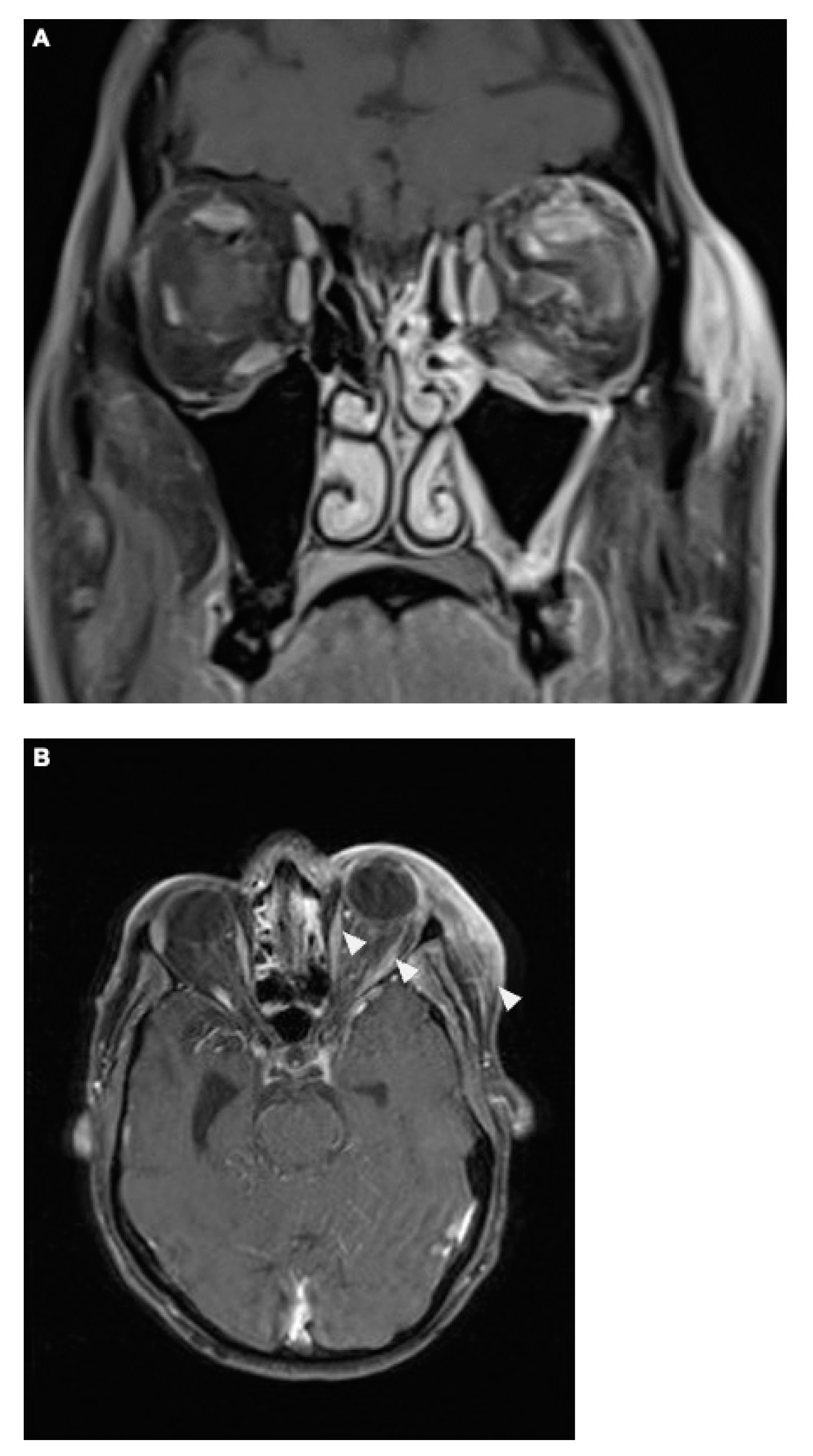Diagnostics 14 02246 g004