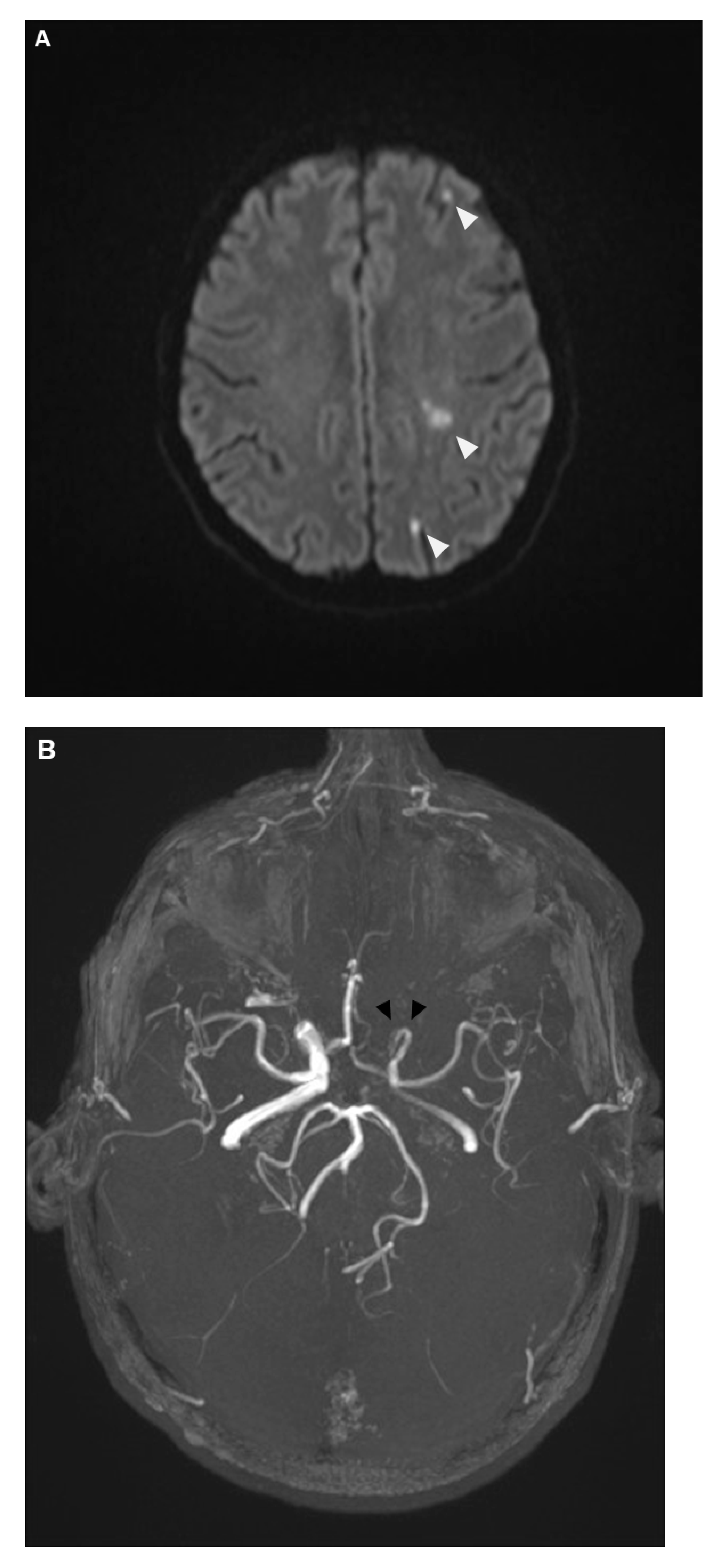 Diagnostics 14 02246 g005a