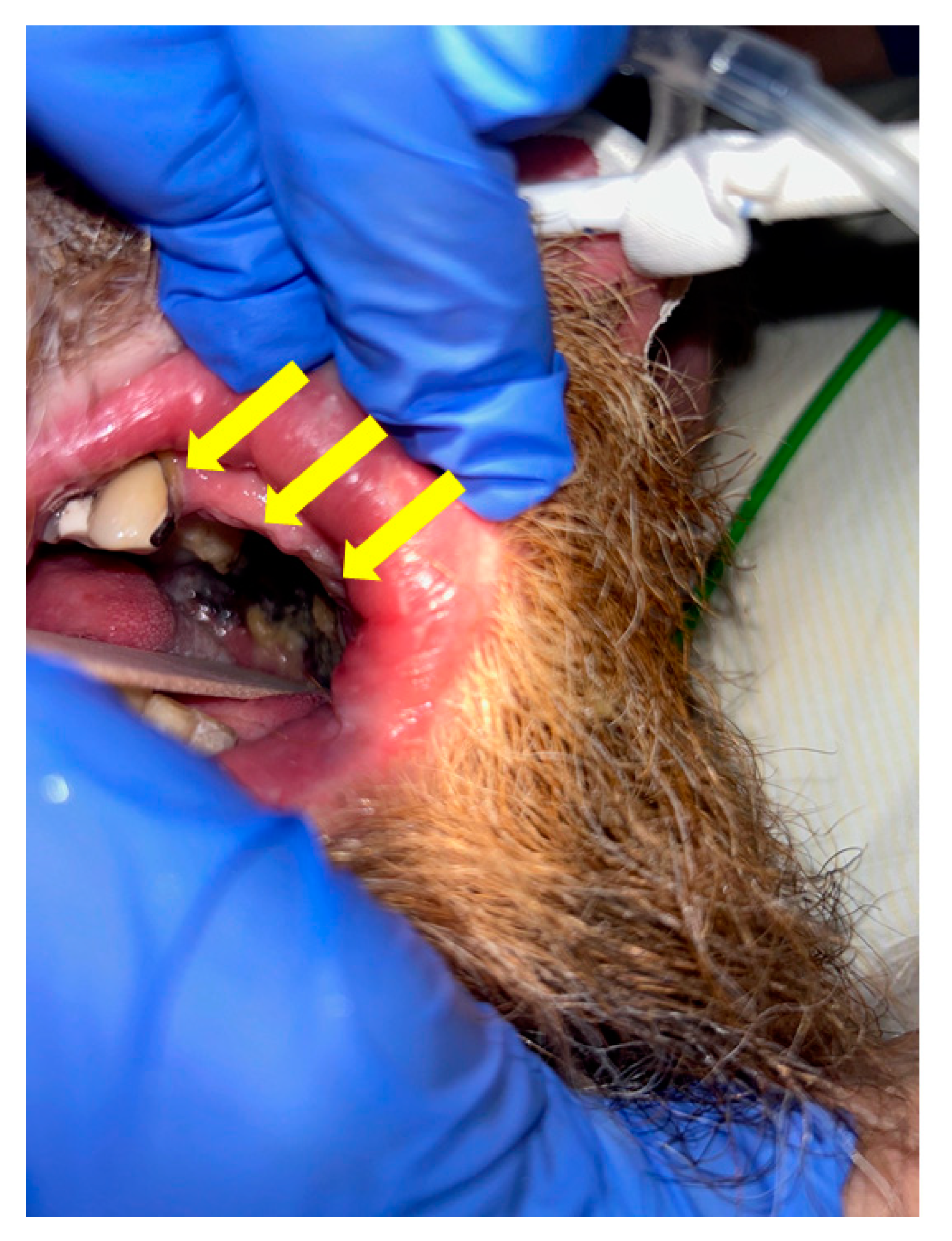 Diagnostics 14 02246 g006