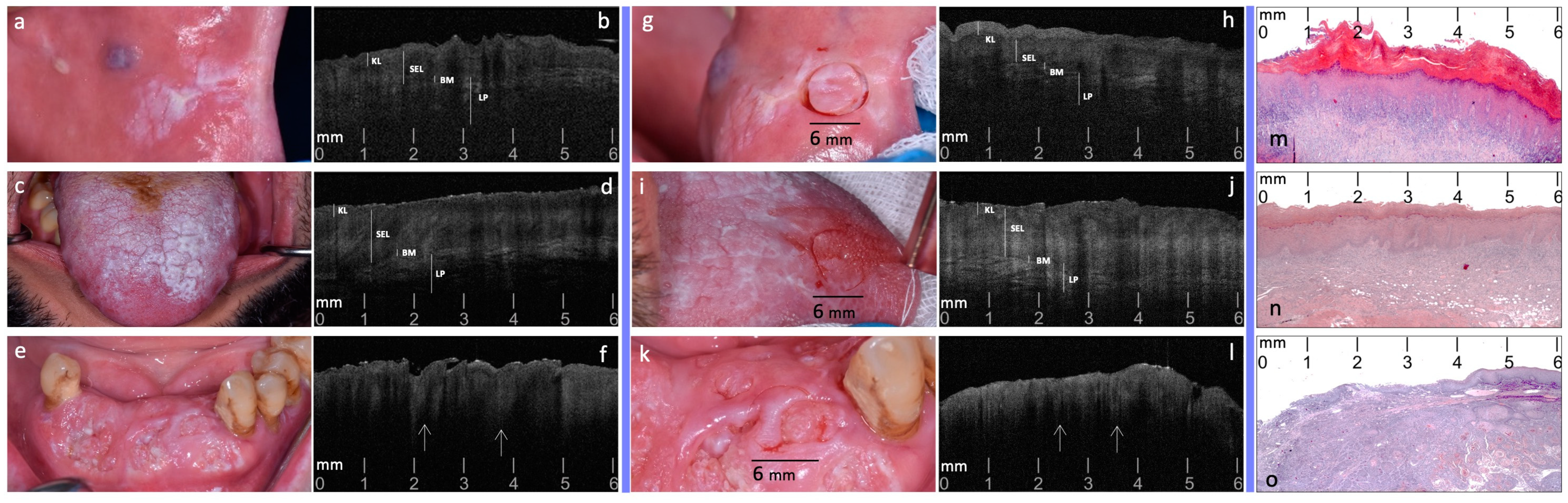 Diagnostics 14 02247 g002 Diagnostics 14 02247 g002
