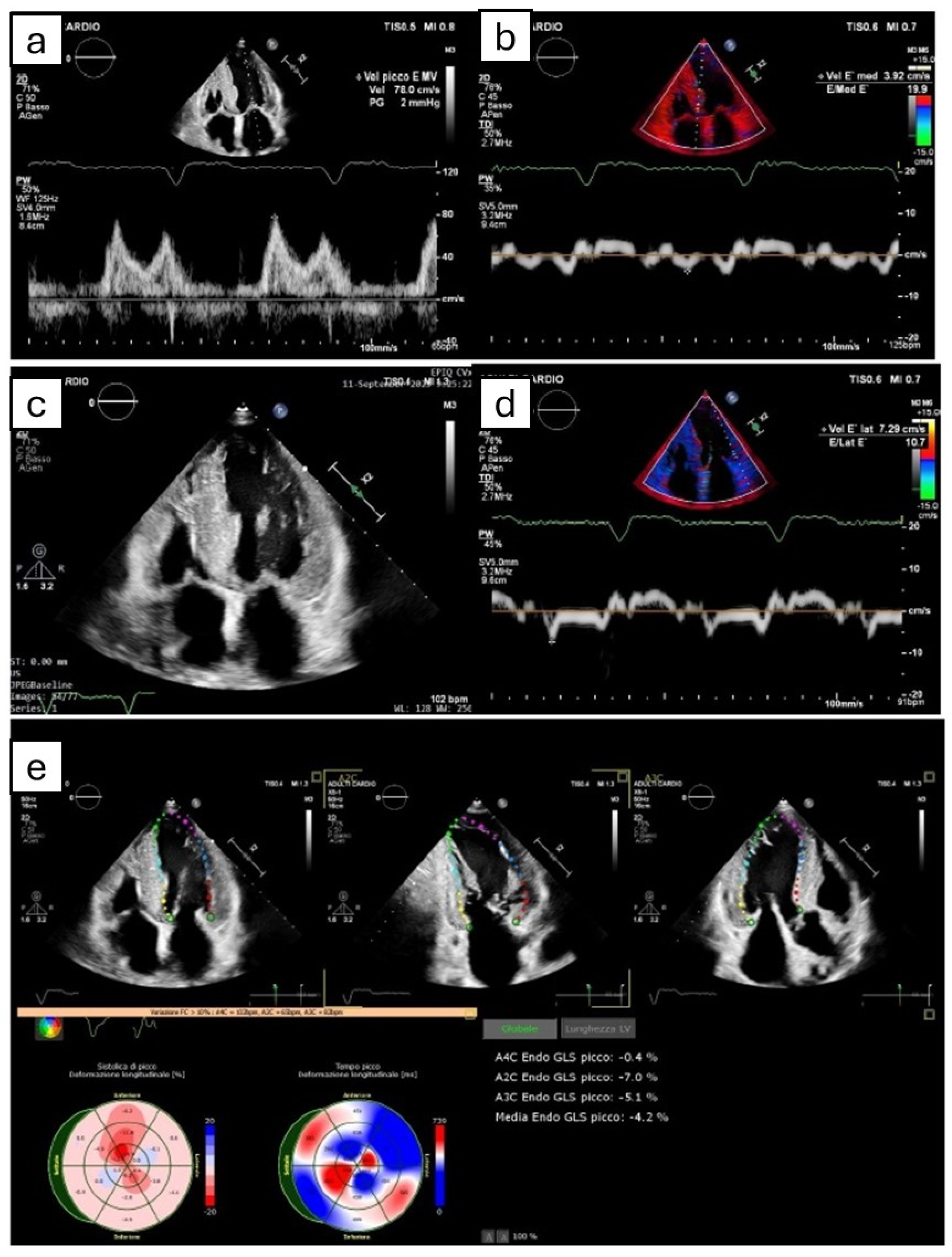 Diagnostics 14 02249 g001