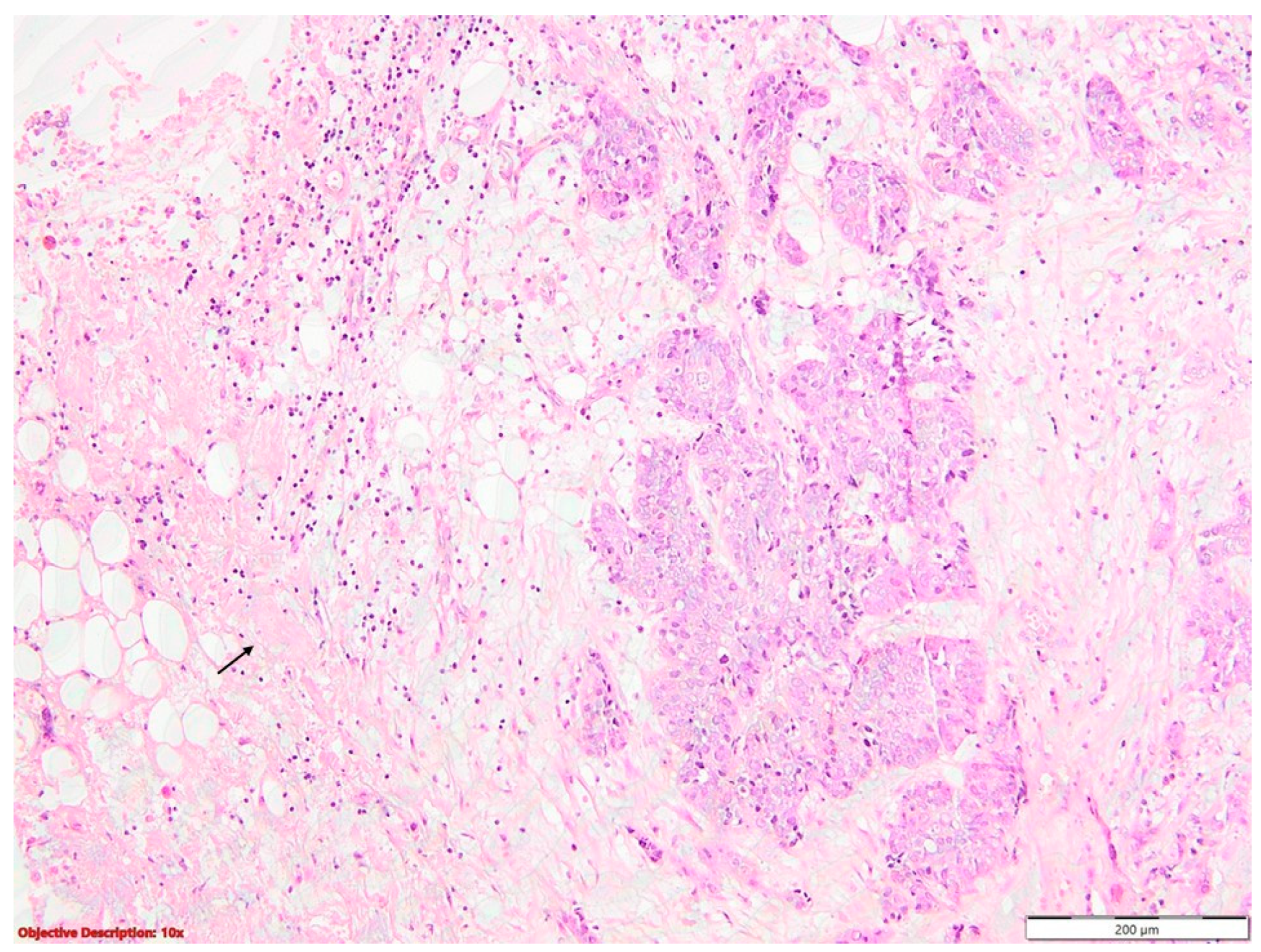 Diagnostics 14 02264 g004