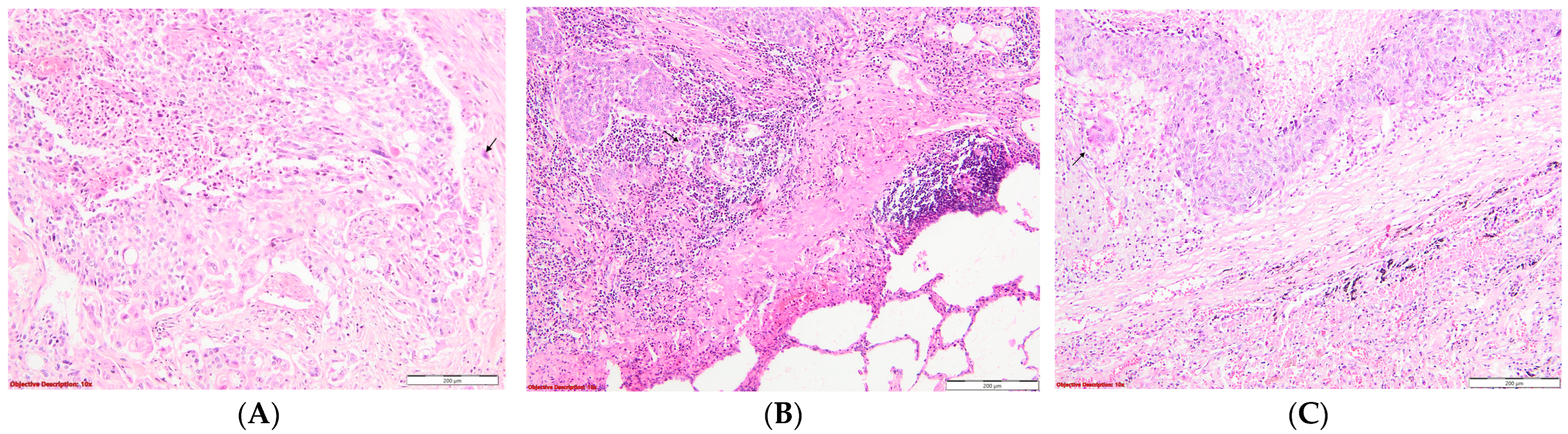 Diagnostics 14 02264 g006