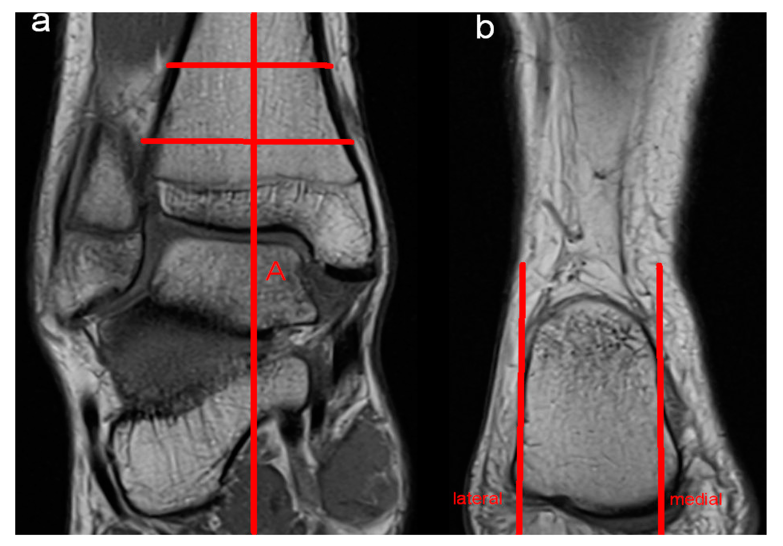 Diagnostics 14 02265 g001